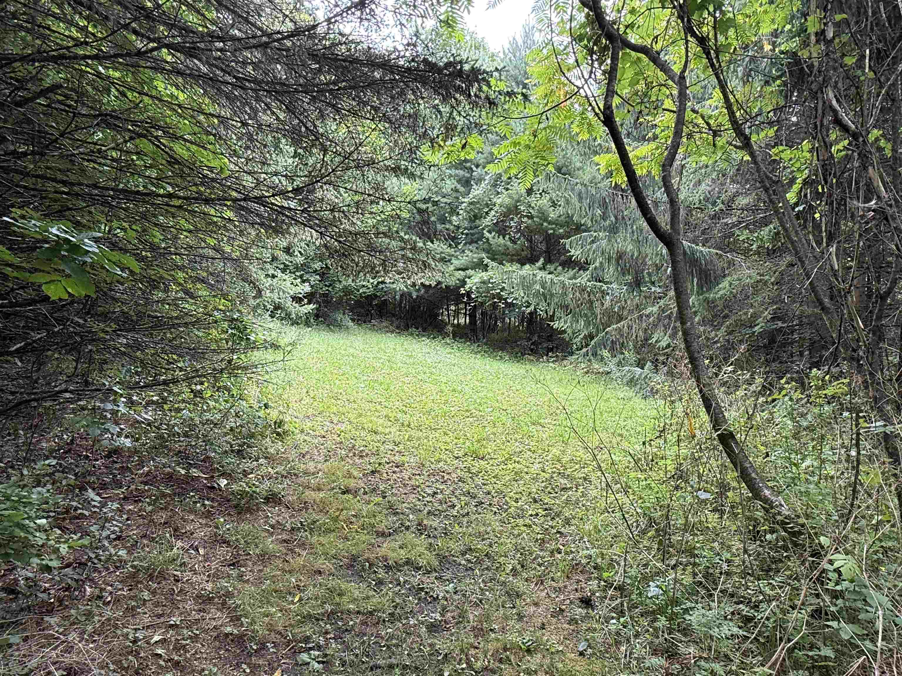 1252 peth Road photo 33