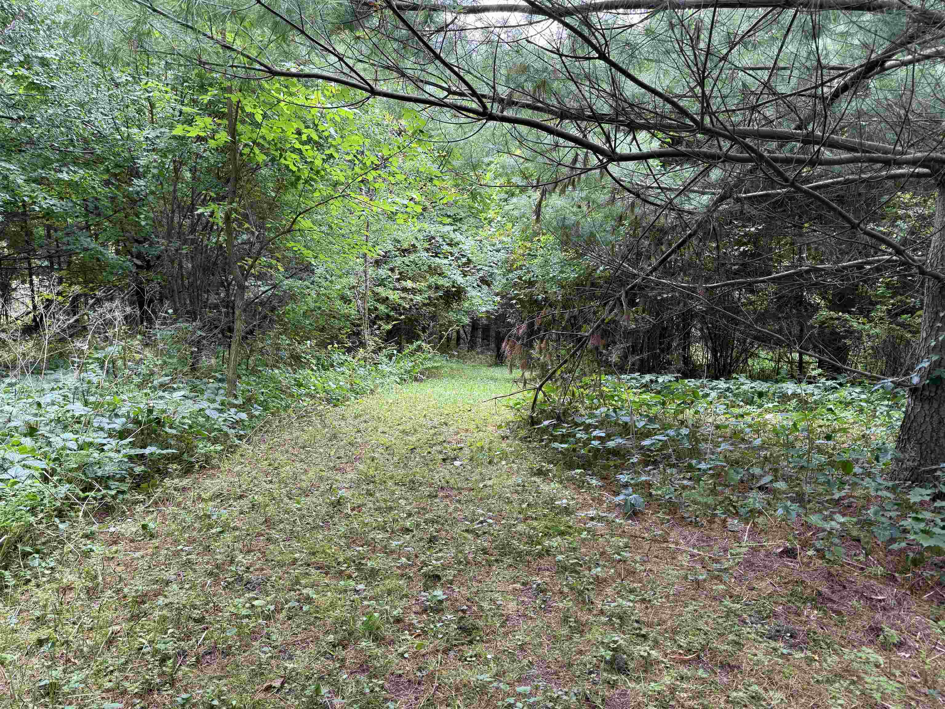 1252 peth Road photo 35