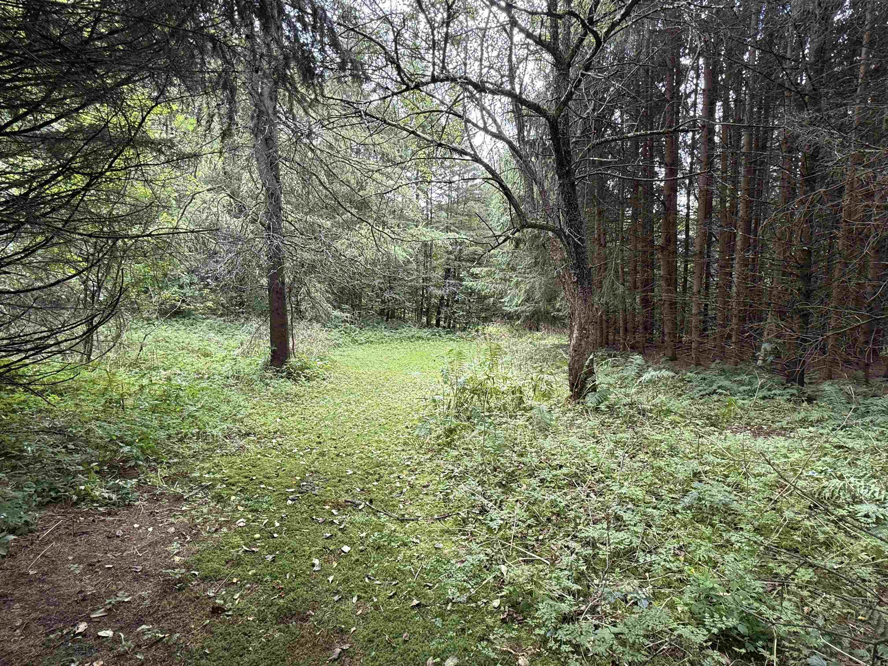 1252 peth Road photo 36
