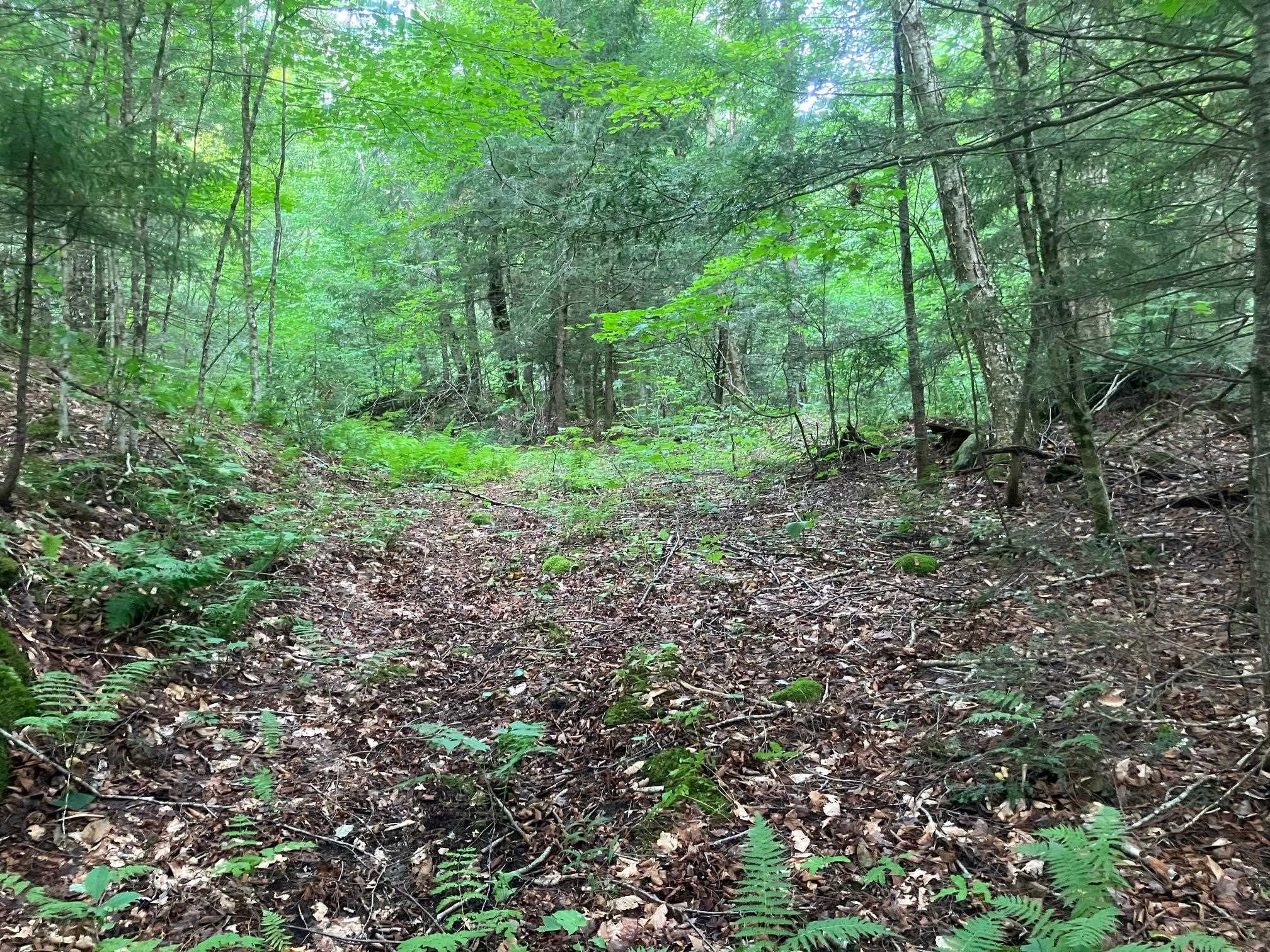 1455 Jay Road photo 39