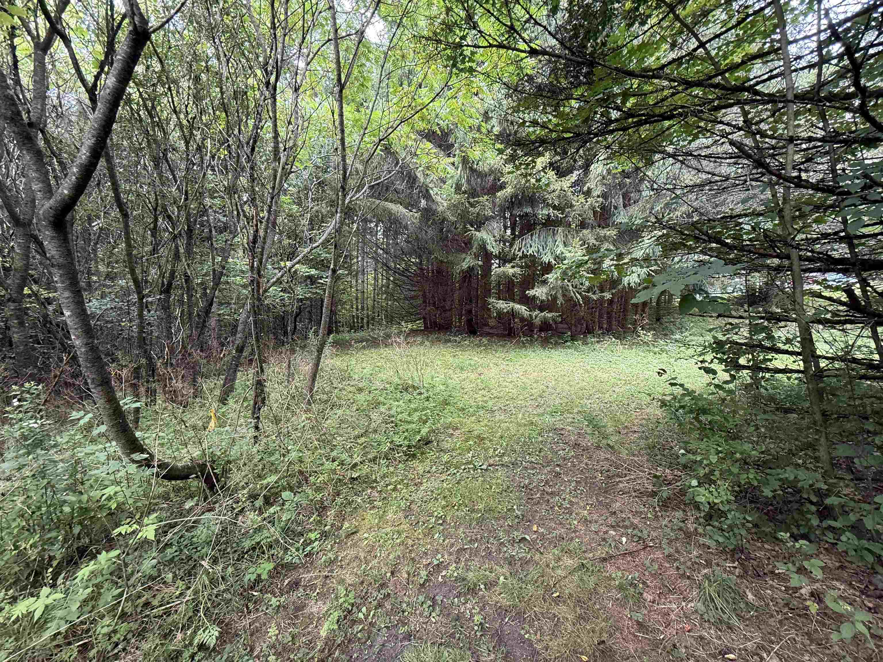 1252 peth Road photo 39