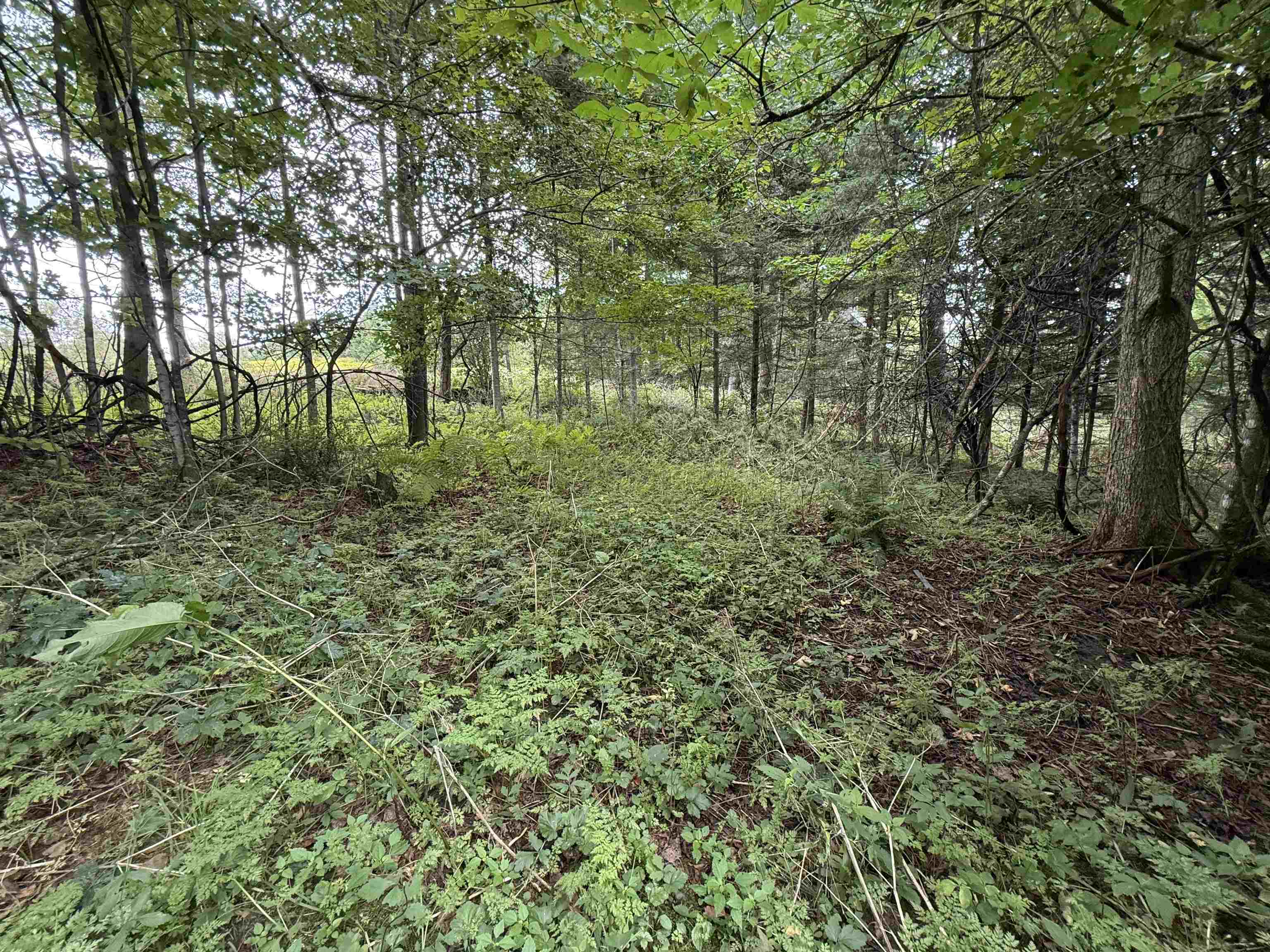 1252 peth Road photo 40