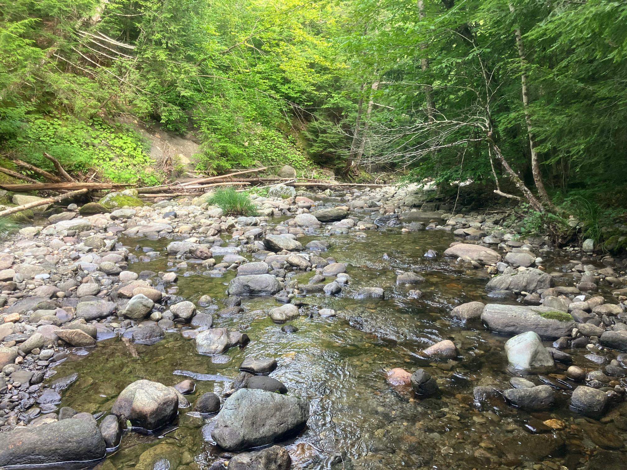 1455 Jay Road photo 8