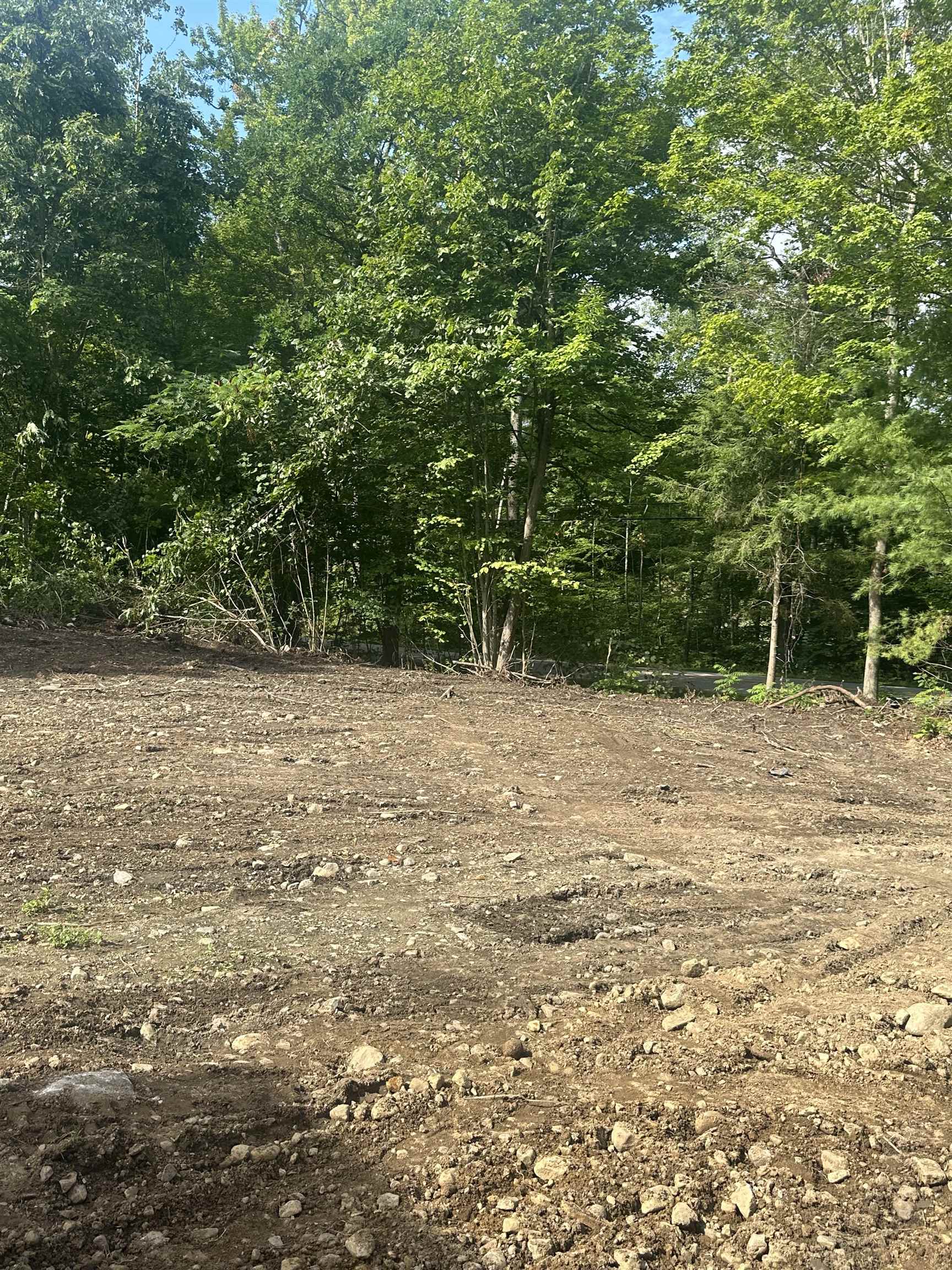1455 Lake Dunmore Road photo 9
