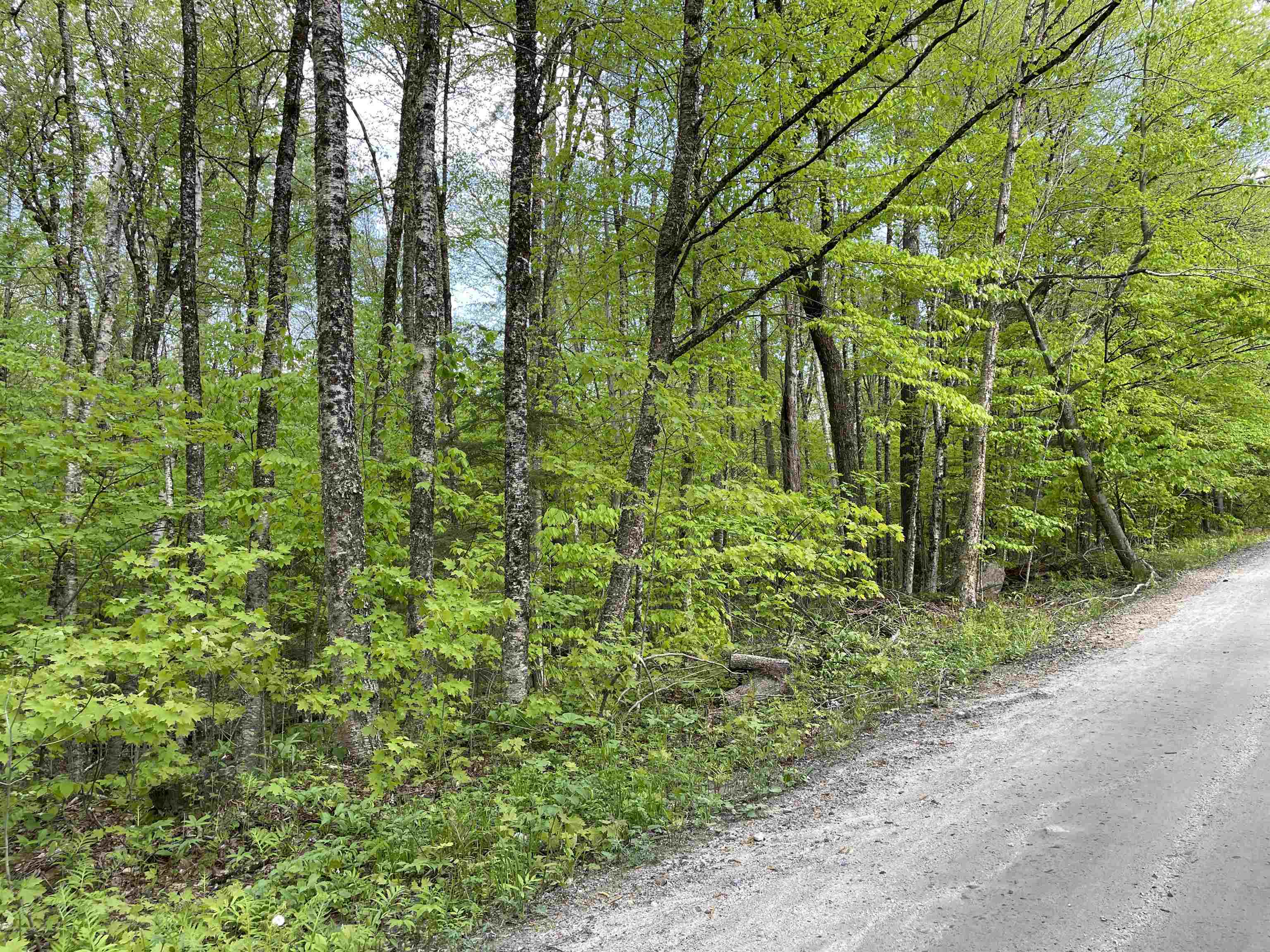 near 263 High Ridge Road Cavendish, VT 05142 Property 2