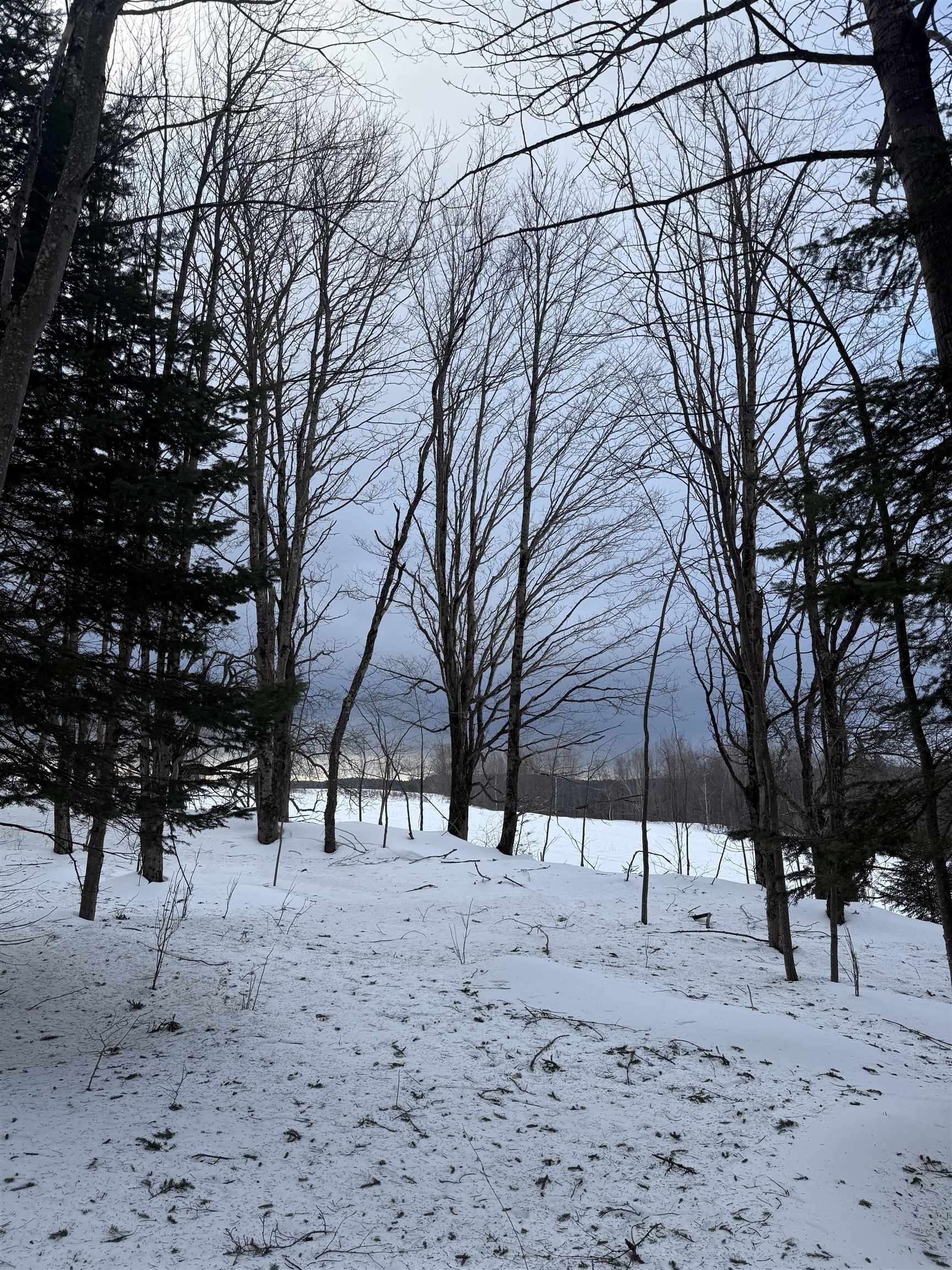 near 408 Fox Mt. Road Wilmington, VT 05363 Property 3