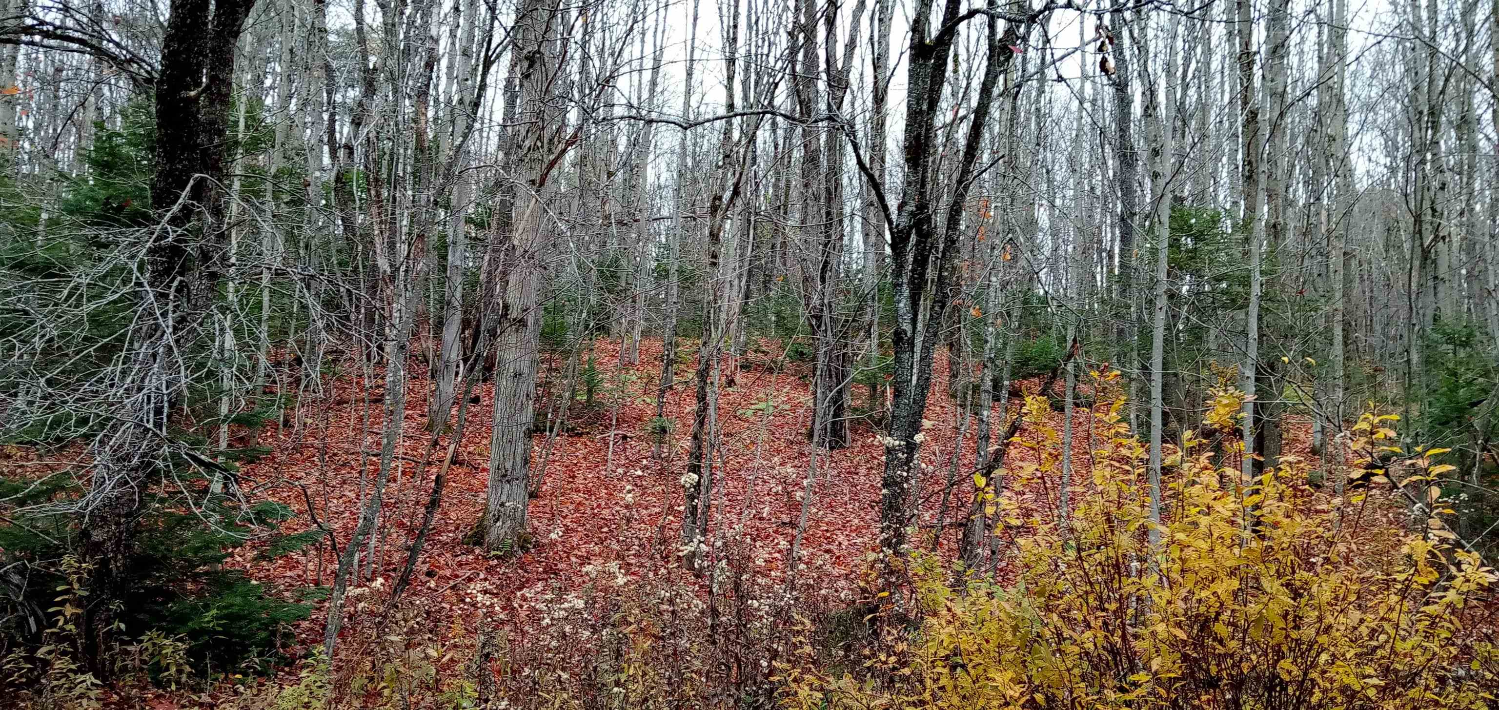 near 102 Albany Road Eden, VT 05653 Property 1 near 102 Albany Road Eden, VT 05653 Property 1