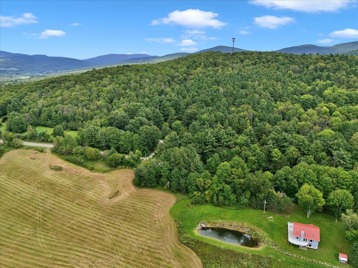 291 Hardwood Hill Road photo 10