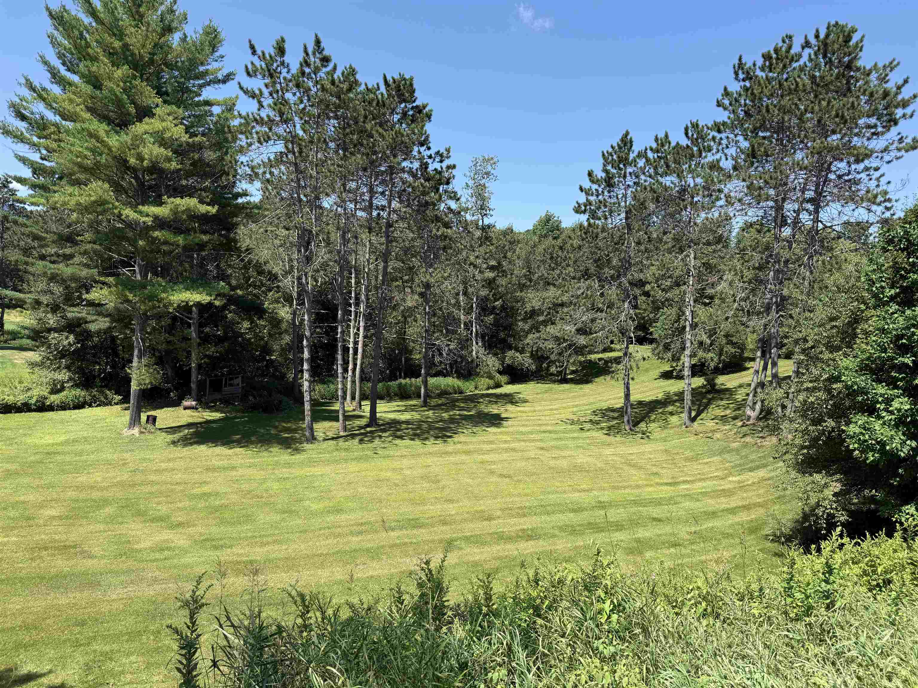 342 Walton Road photo 19