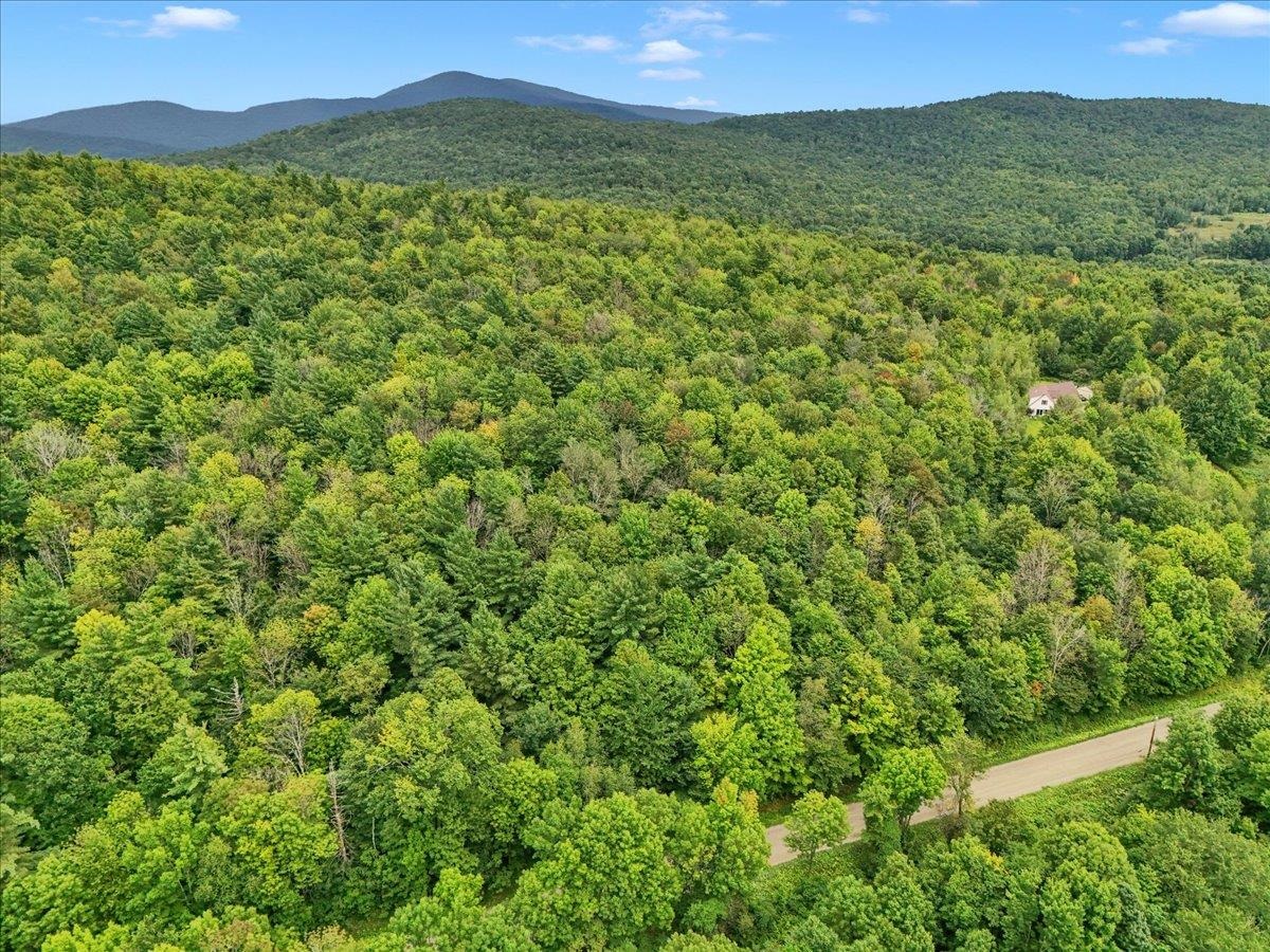291 Hardwood Hill Road photo 6