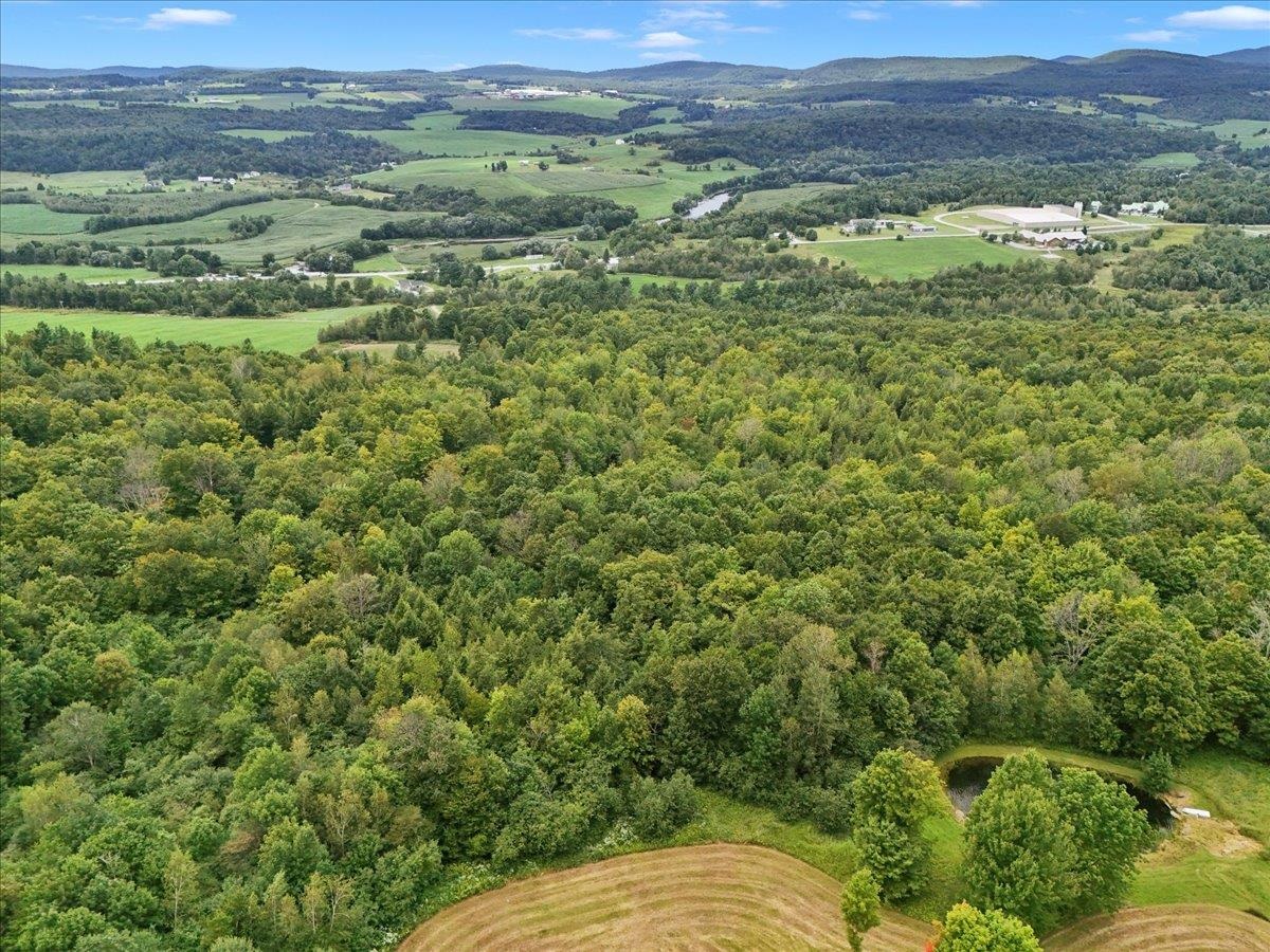 291 Hardwood Hill Road photo 8