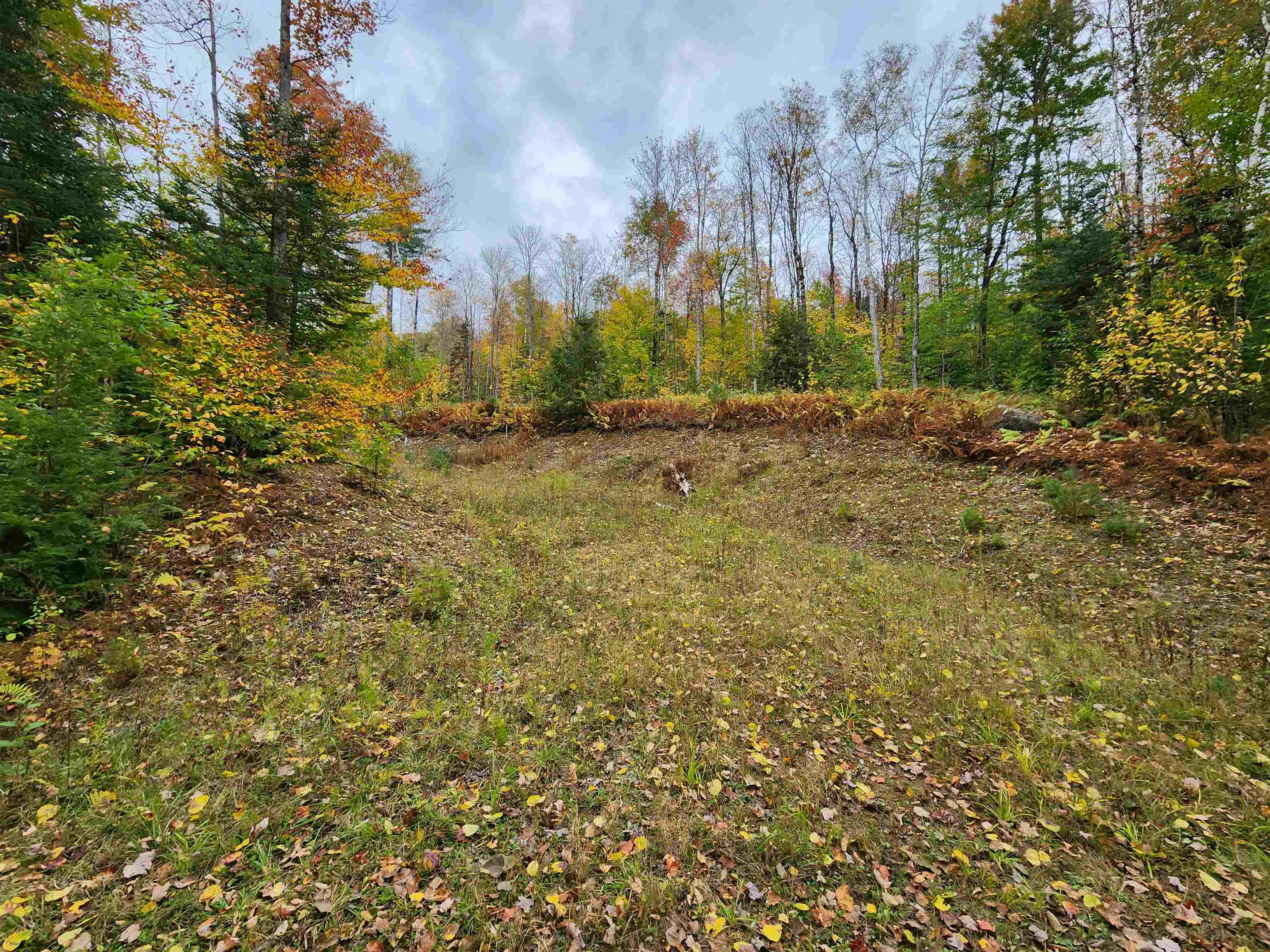 8 Gardiner Drive Londonderry, VT 05148 MLS 4974260 Pall Spera