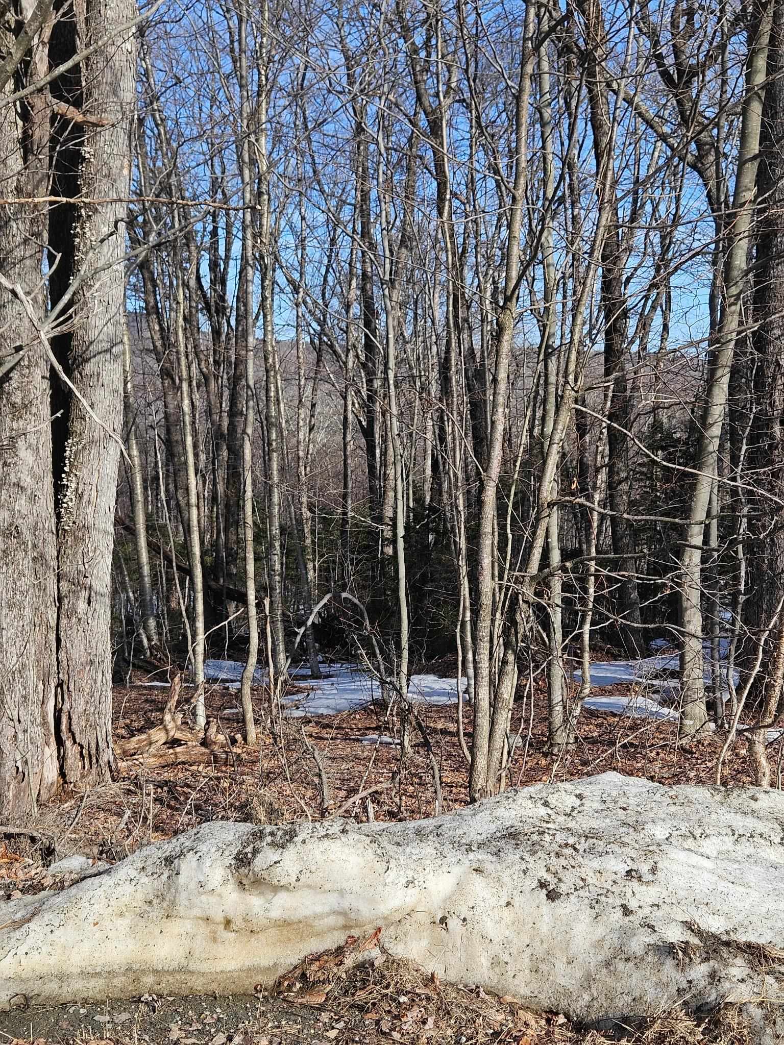 near 0 Hunt Road Wardsboro, VT 05355 Property 4