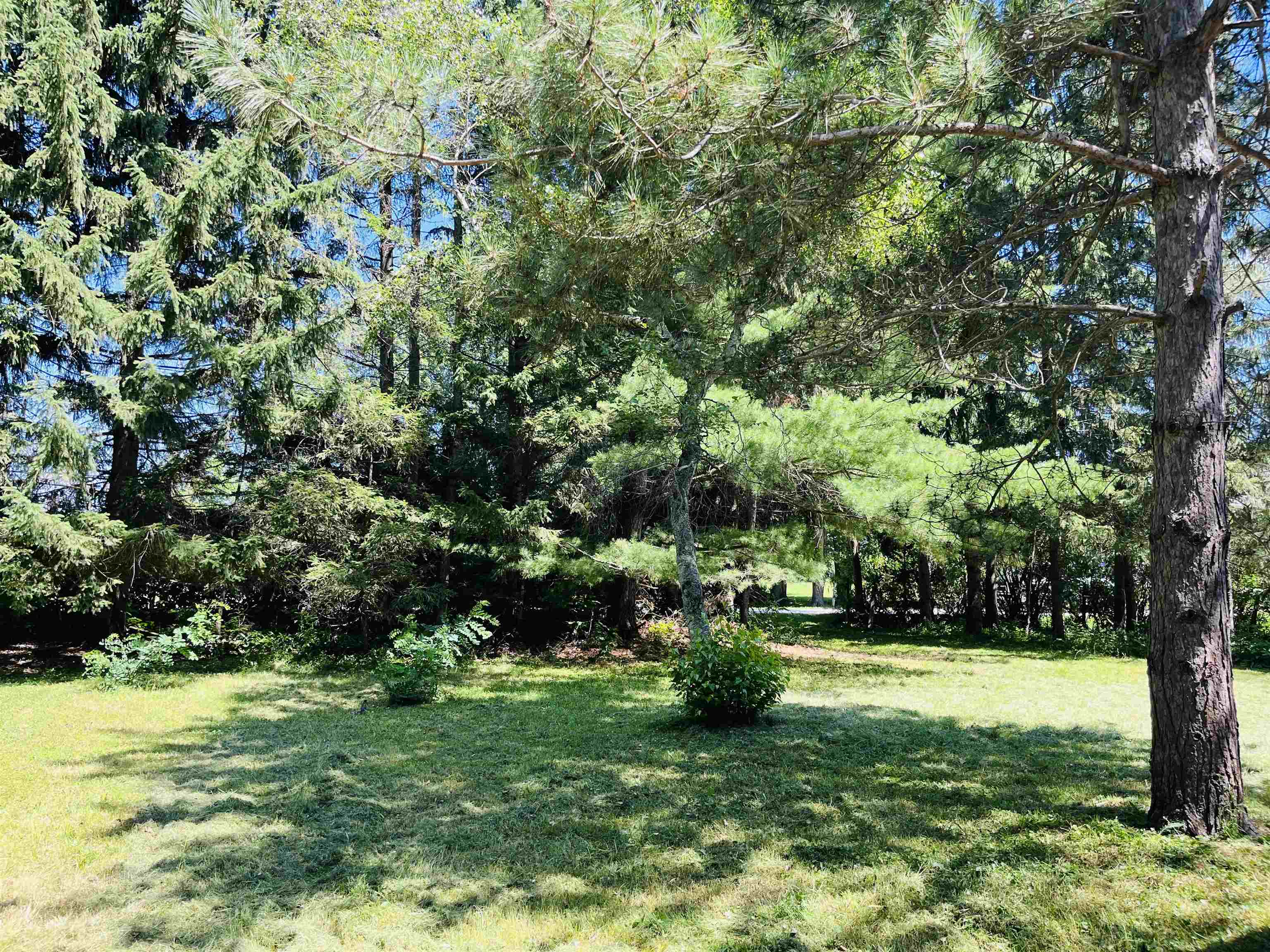 456 Lakewood Drive photo 9