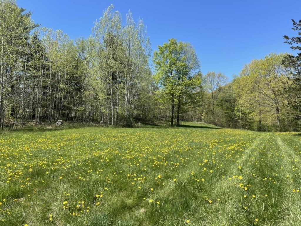 near TBD Bardon Drive Cornwall, VT 05753 Property 1