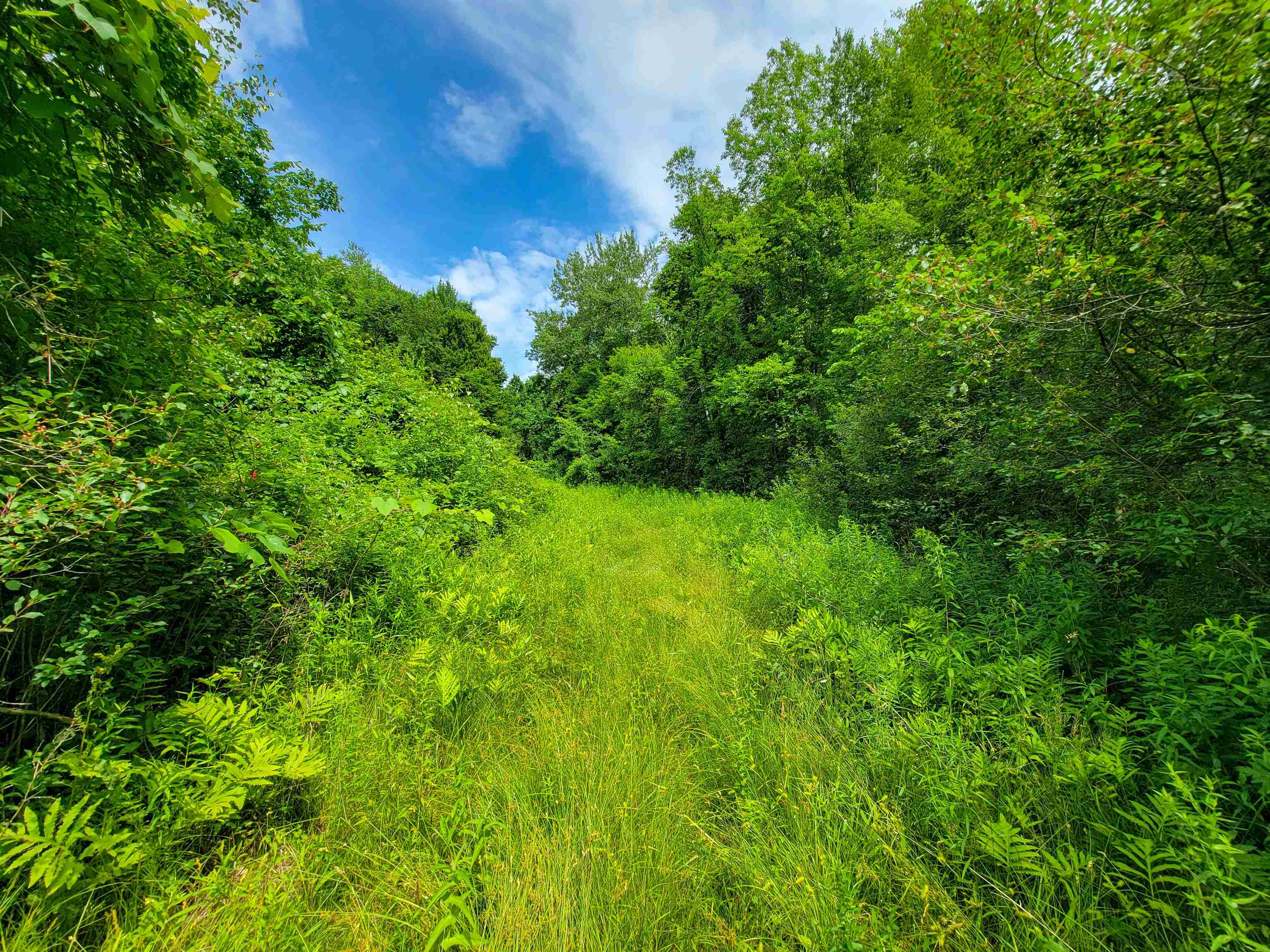 1073 Chapel Road photo 21