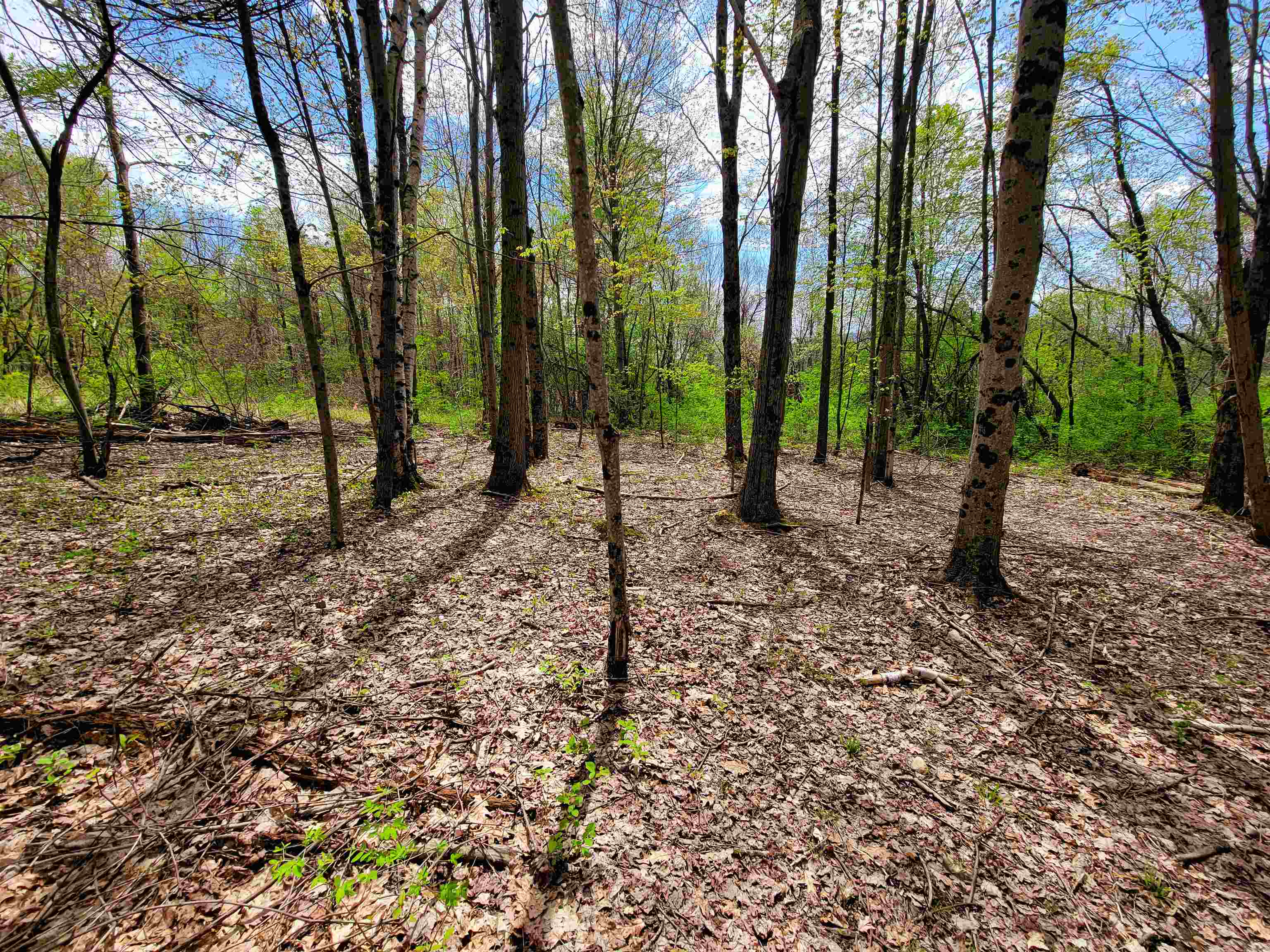 1073 Chapel Road photo 25