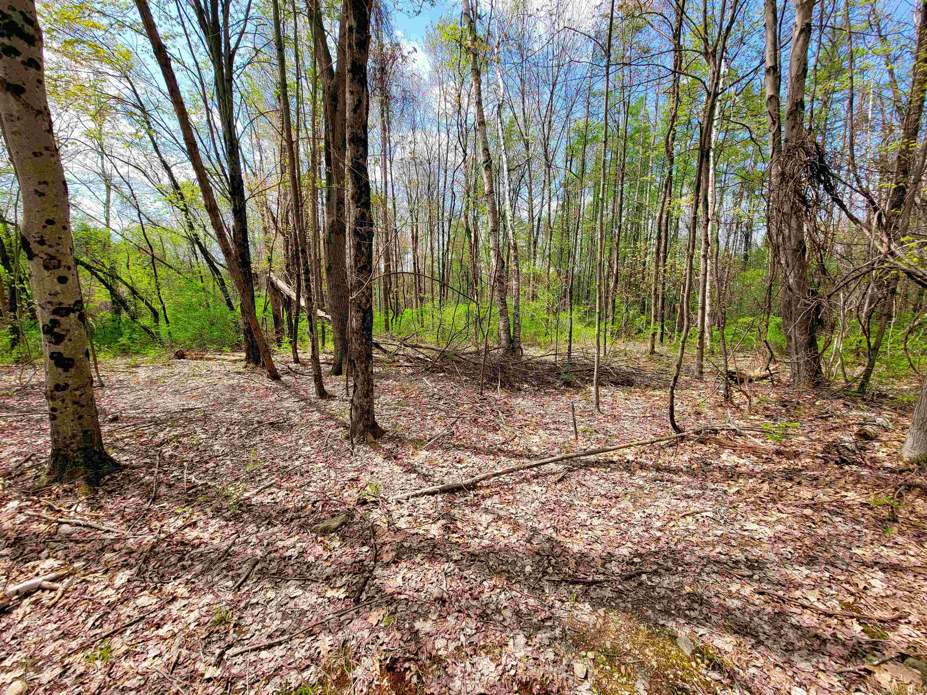 1073 Chapel Road photo 26