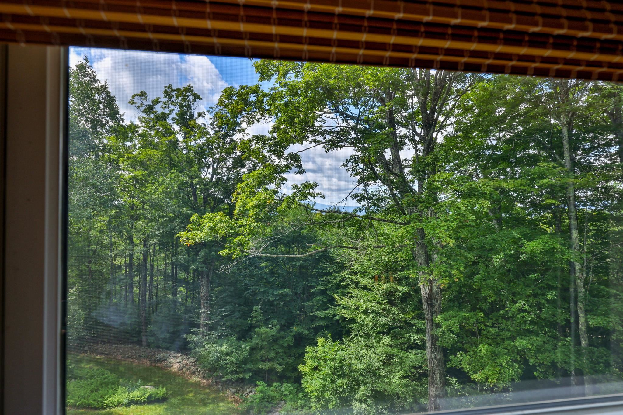 294 Dale Road photo 27