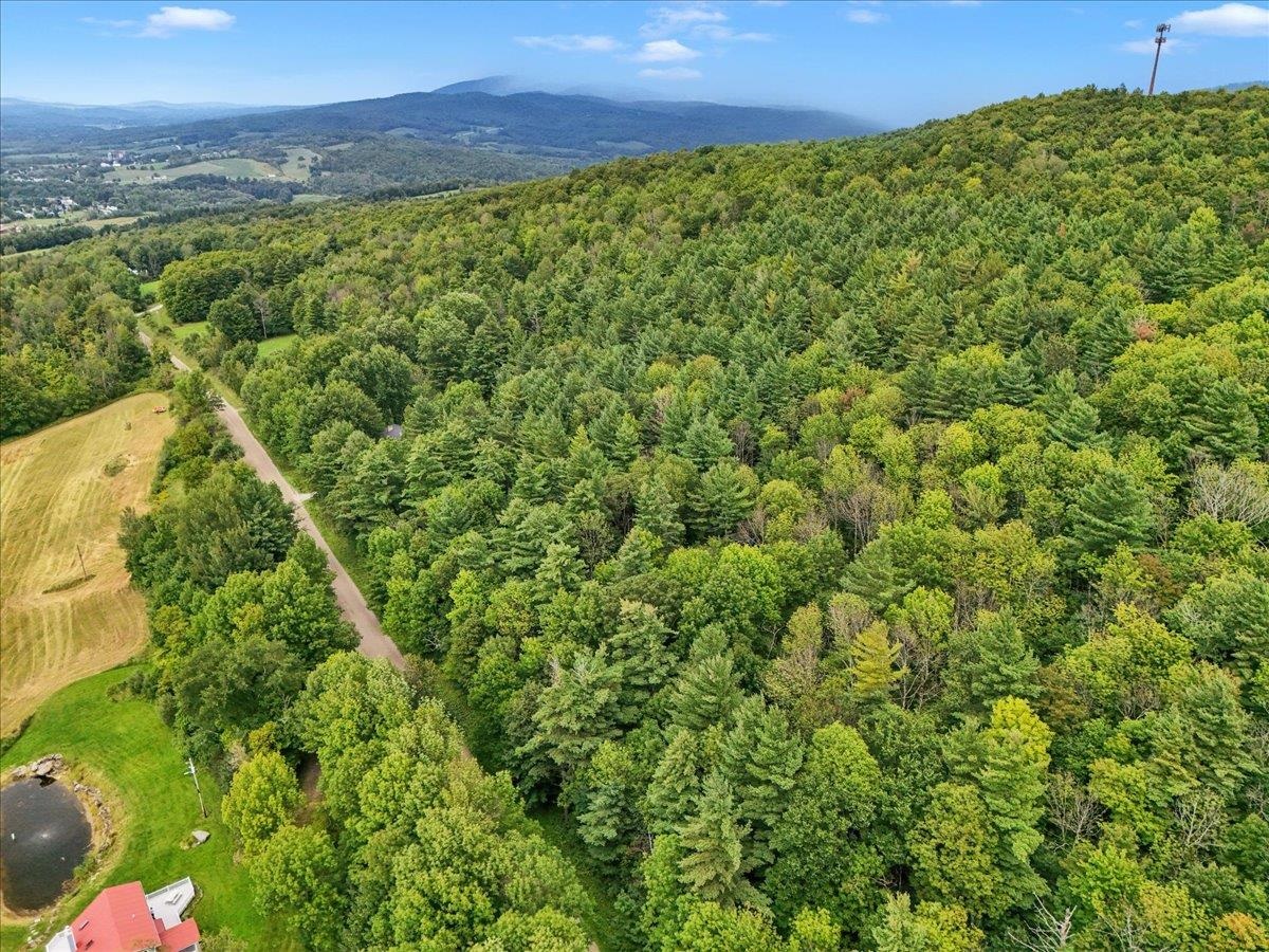 291 Hardwood Hill Road photo 3