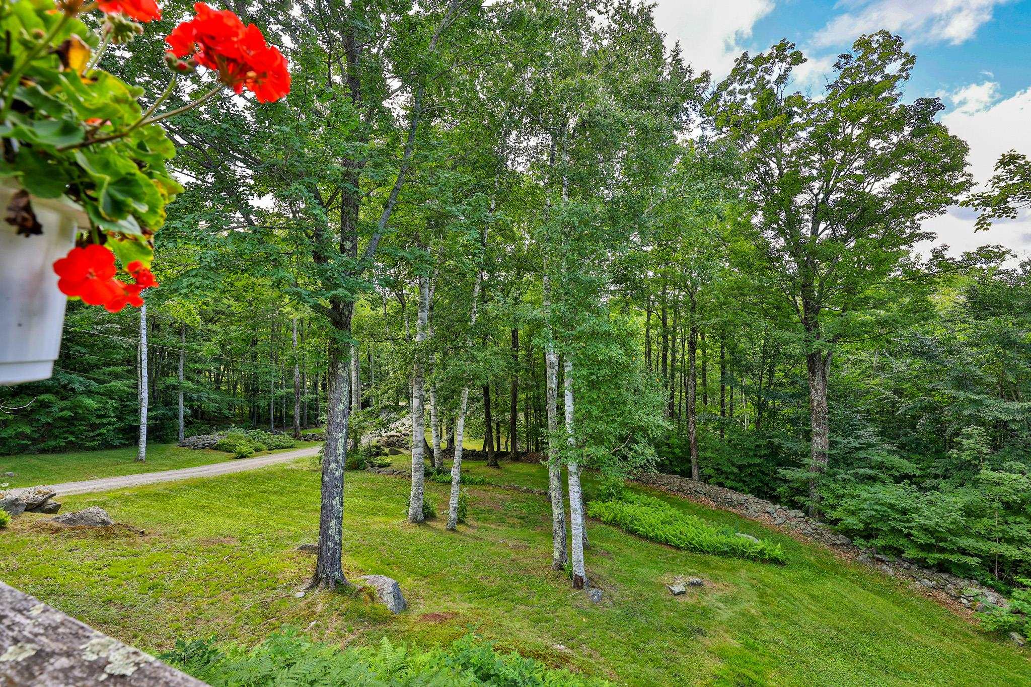 294 Dale Road photo 35