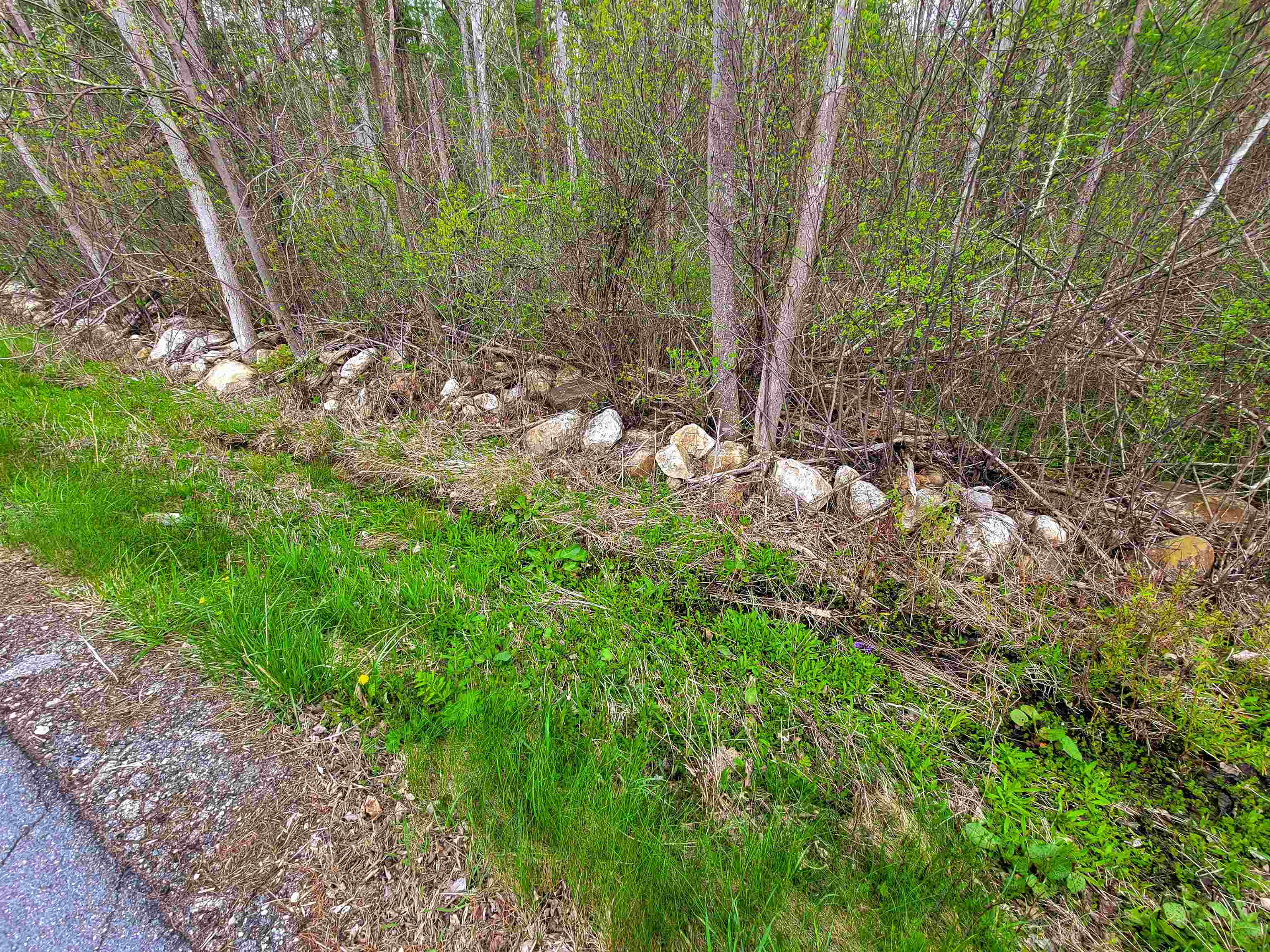 1073 Chapel Road photo 43