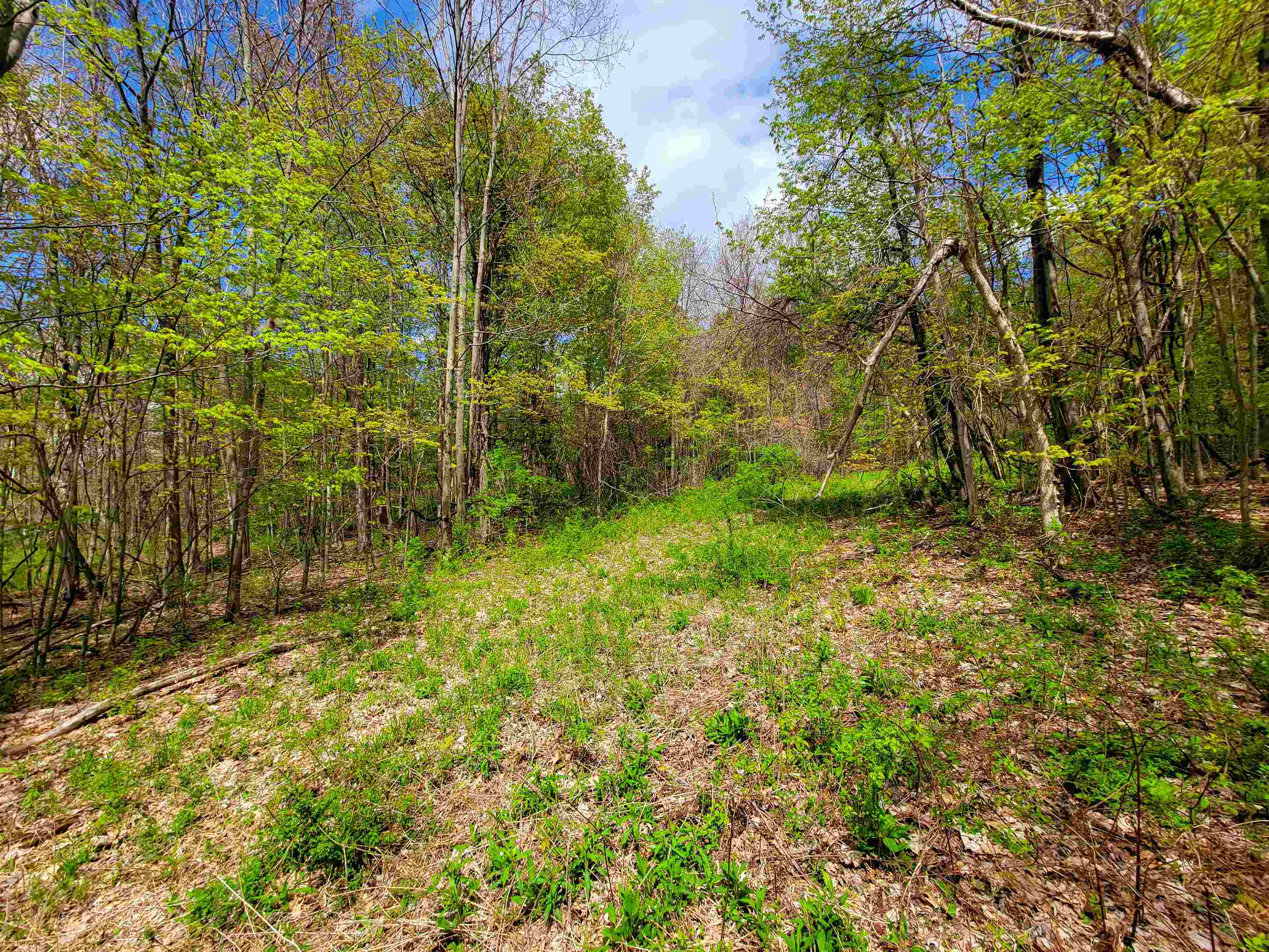 1073 Chapel Road photo 49