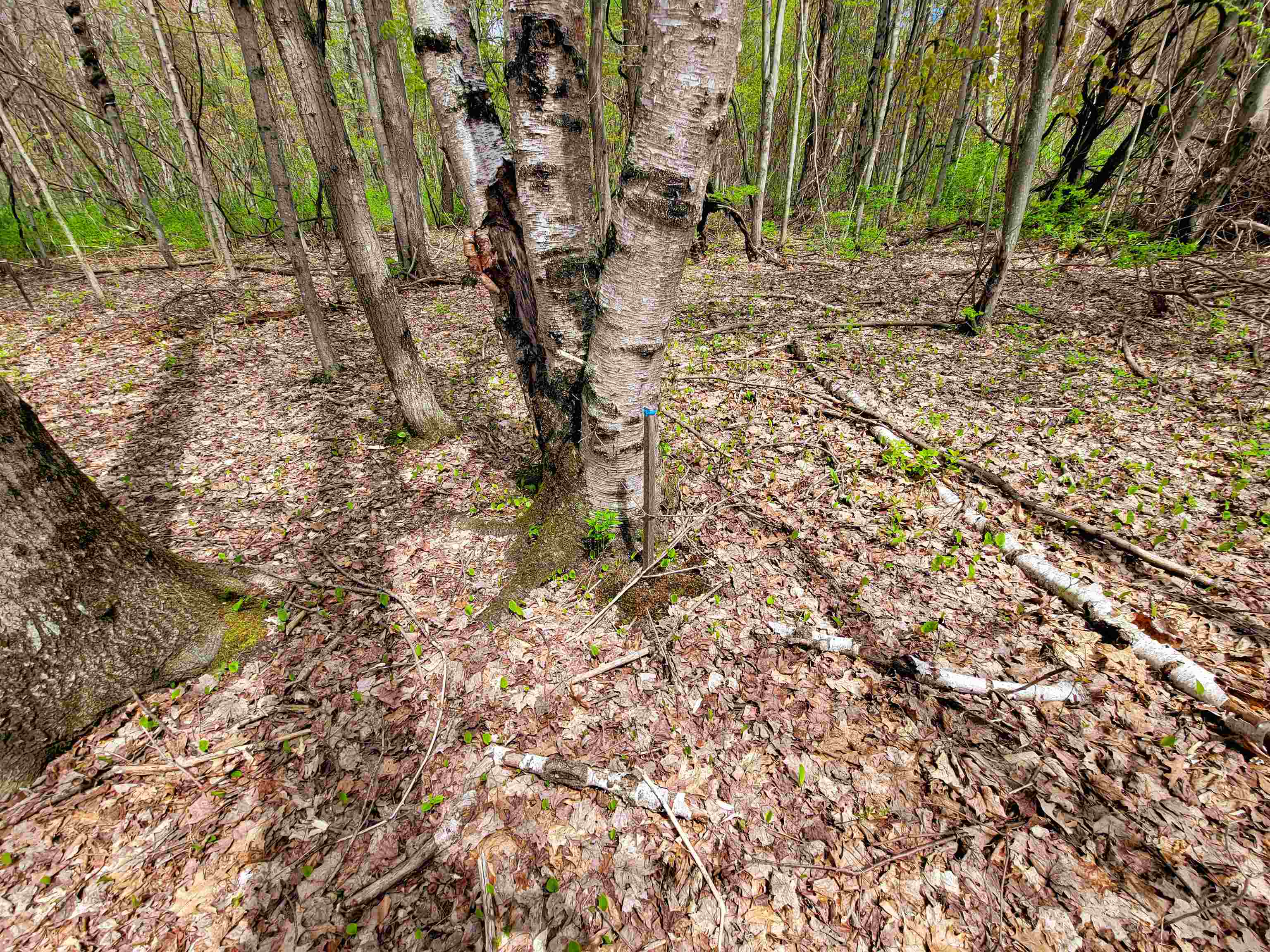 1073 Chapel Road photo 51