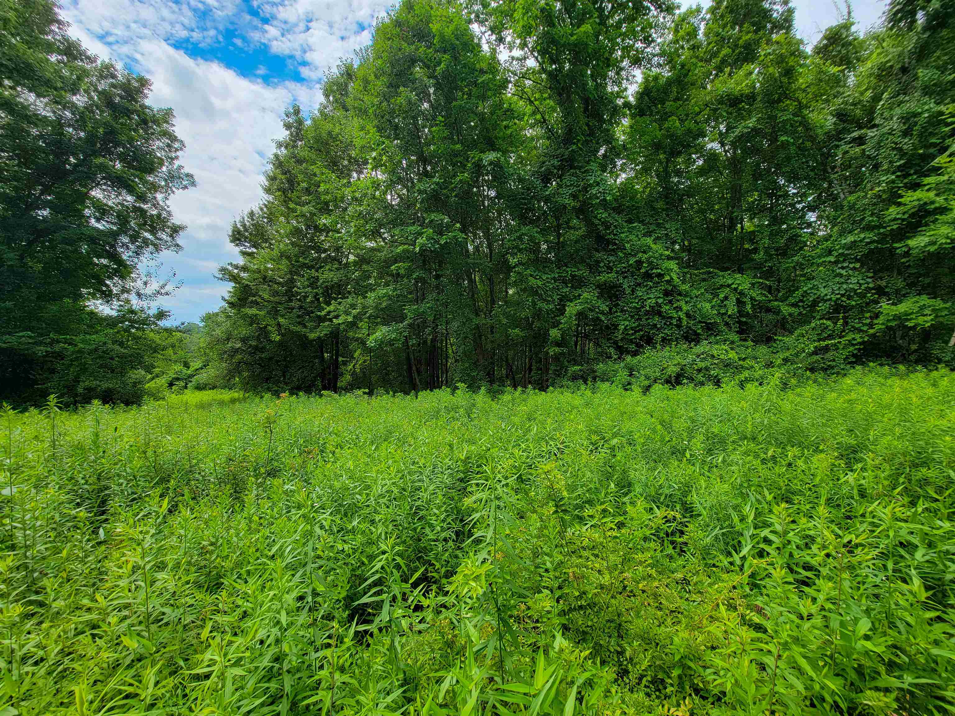 1073 Chapel Road photo 58
