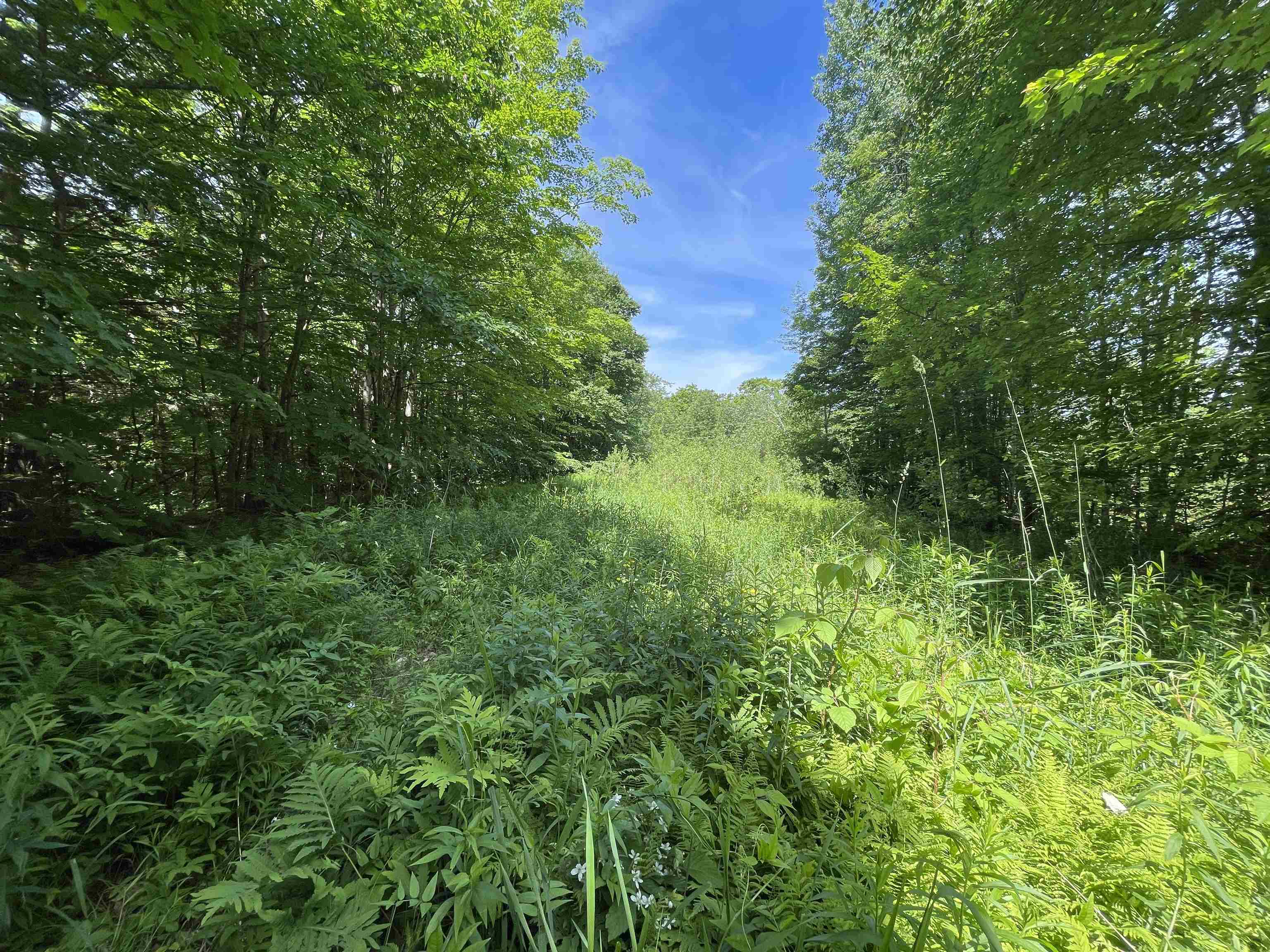near TBD Boyce Road Fayston, VT 05660 Property 4