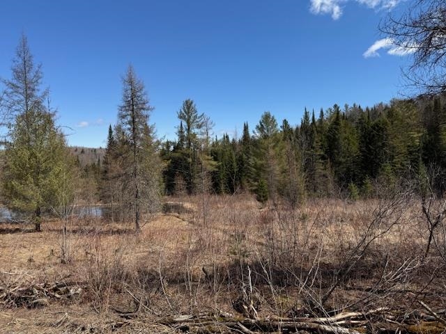 near Collinsville Road Craftsbury, VT 05826 Property 1