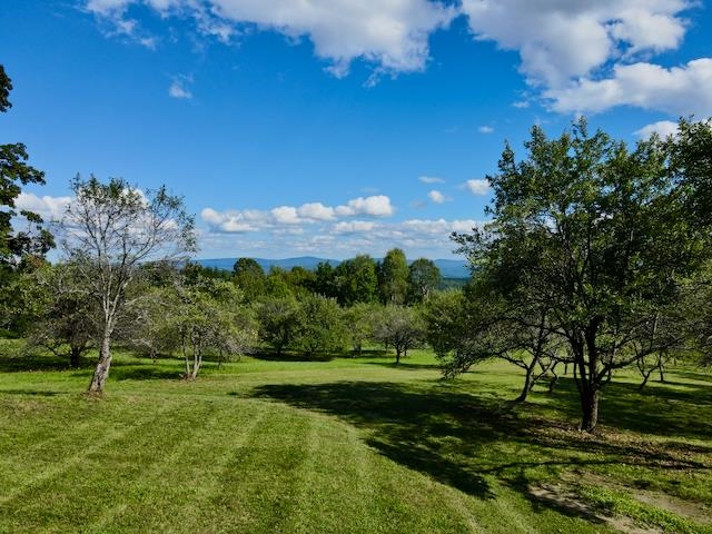 232 Town Farm Hill Road photo 55