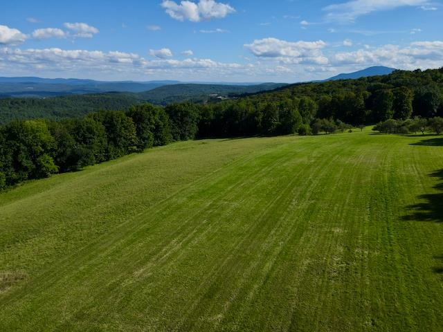 232 Town Farm Hill Road photo 56