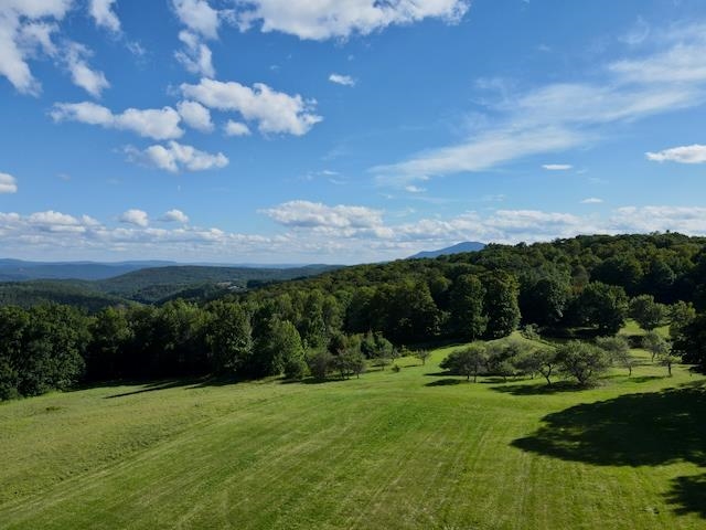 232 Town Farm Hill Road photo 59