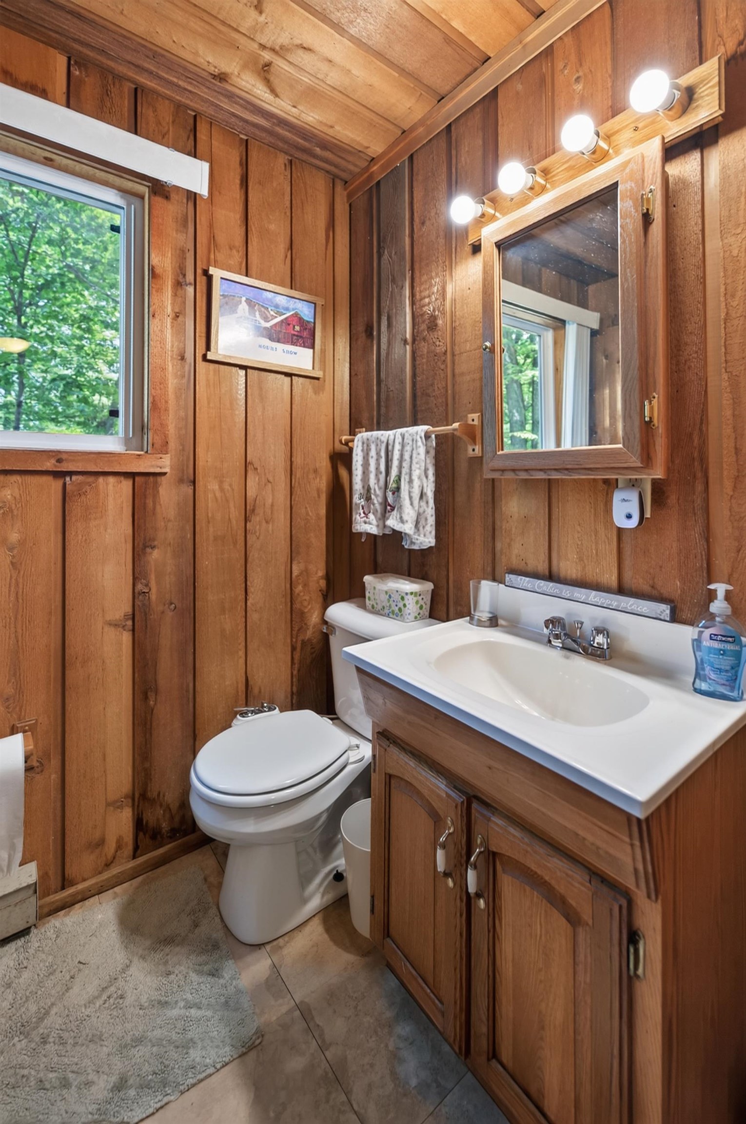 3 Woodchuck Lane photo 9