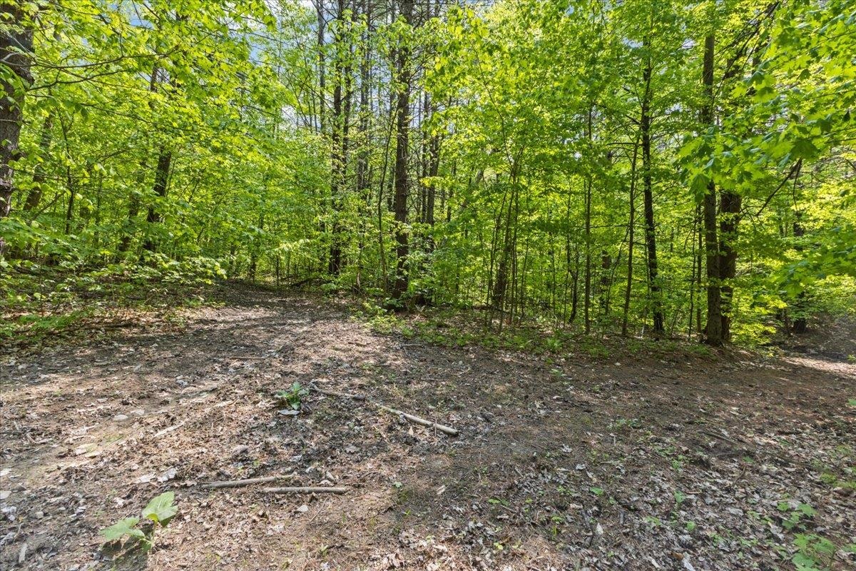 0 Petty Brook Road Milton, VT 05468 MLS 4988163 Pall Spera Company