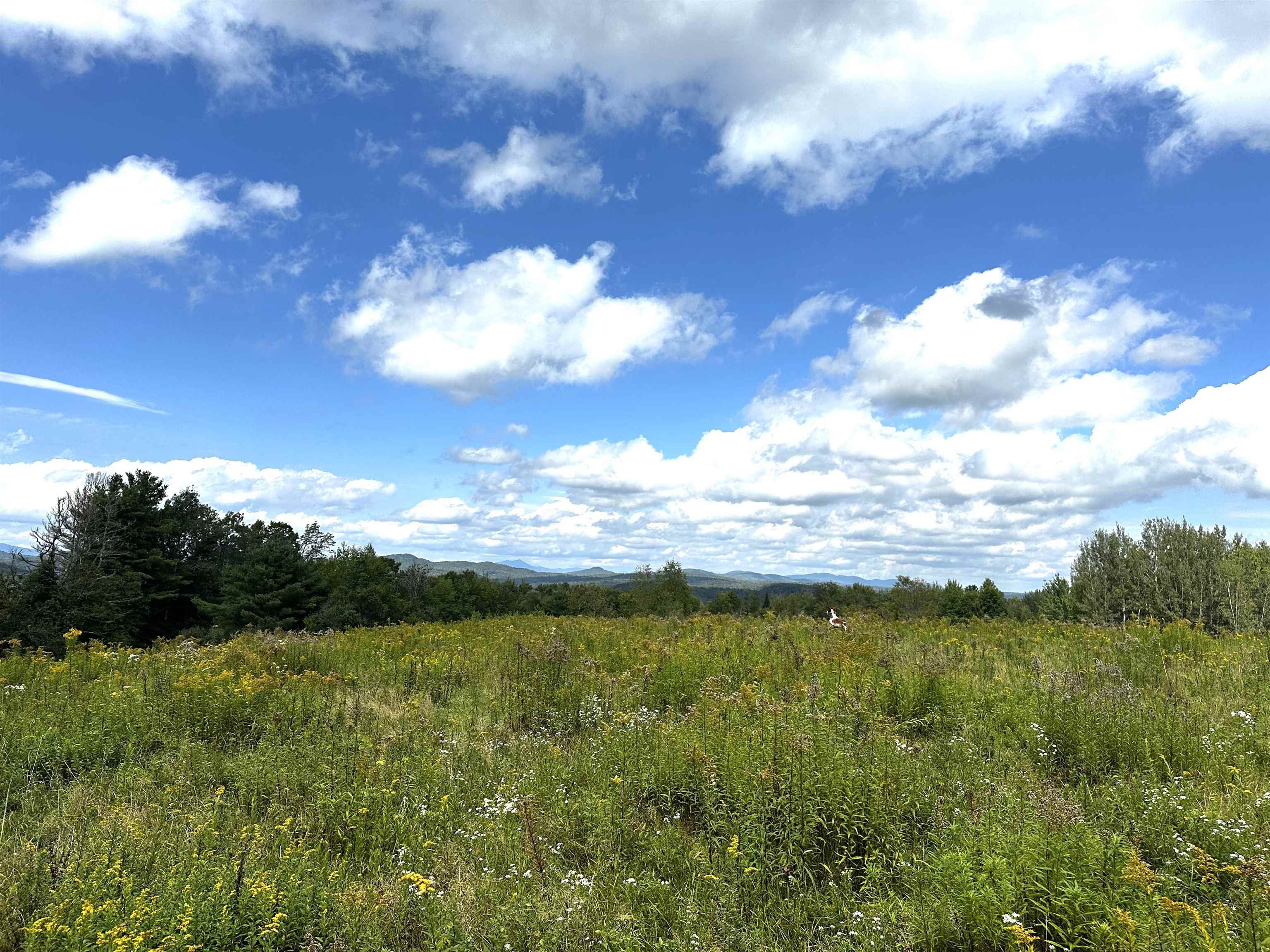 near TBD Elmore Mountain Road Elmore, VT 05657 Property 1