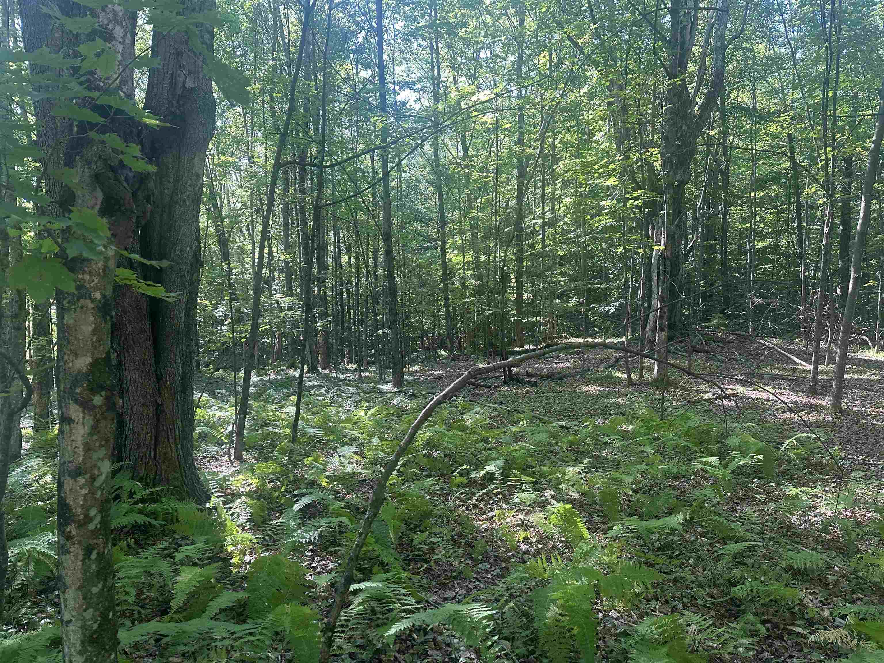 near 0 Shepherd Lane Rutland City, VT 05701 Property 1