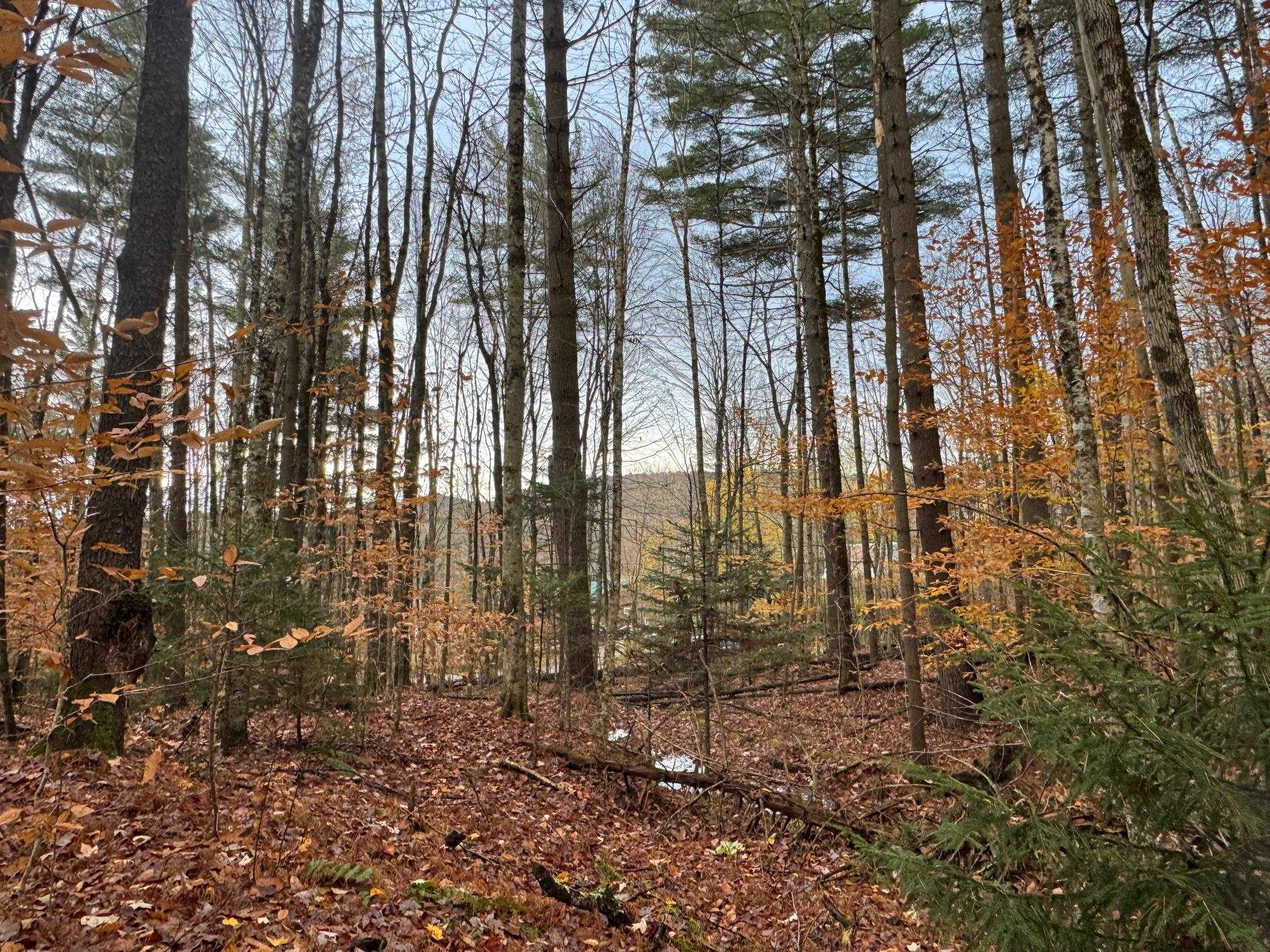 near 10 Hampshire Hill Road Worcester, VT 05682 Property 1