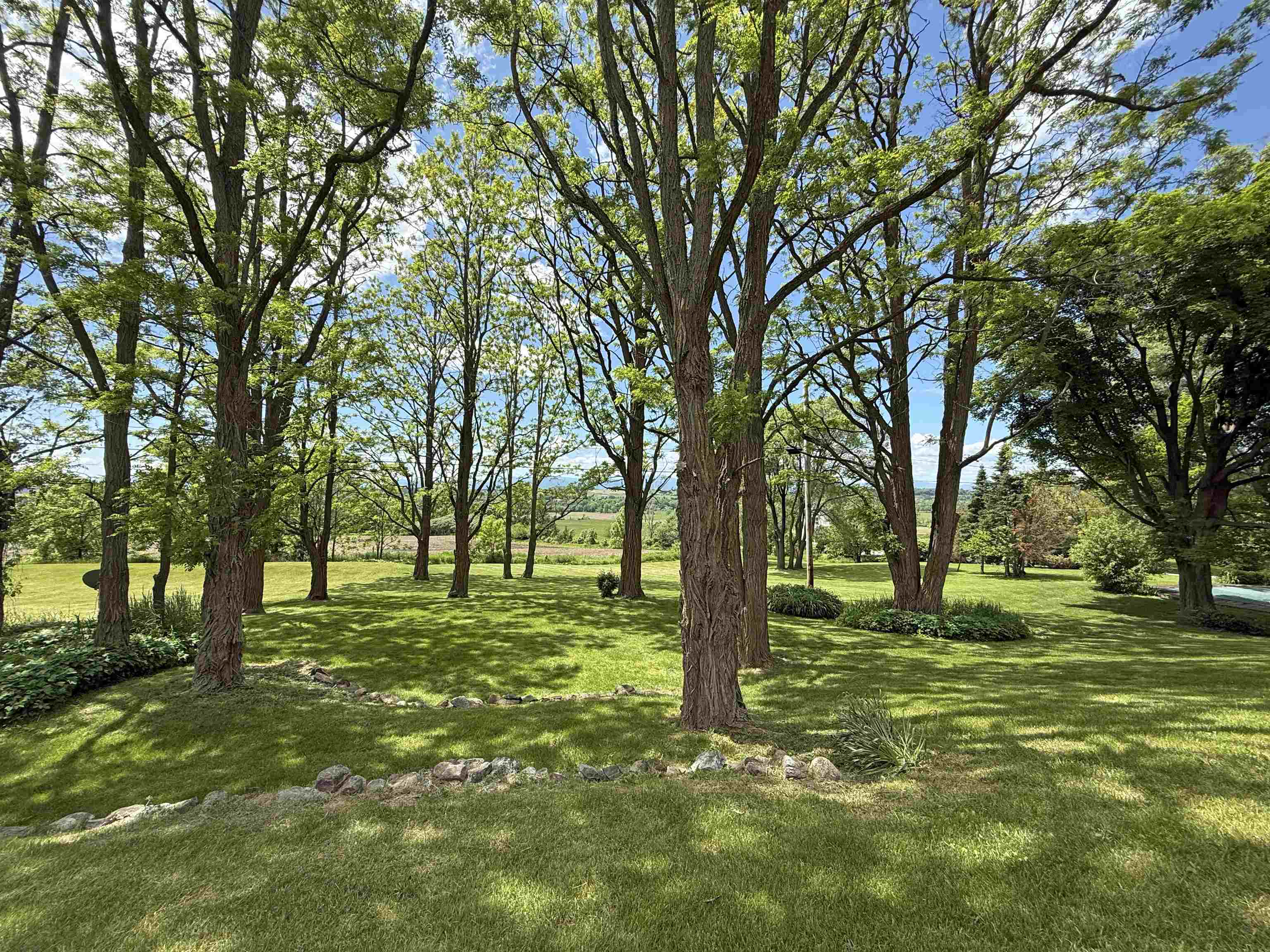 2442 Maple Street photo 50