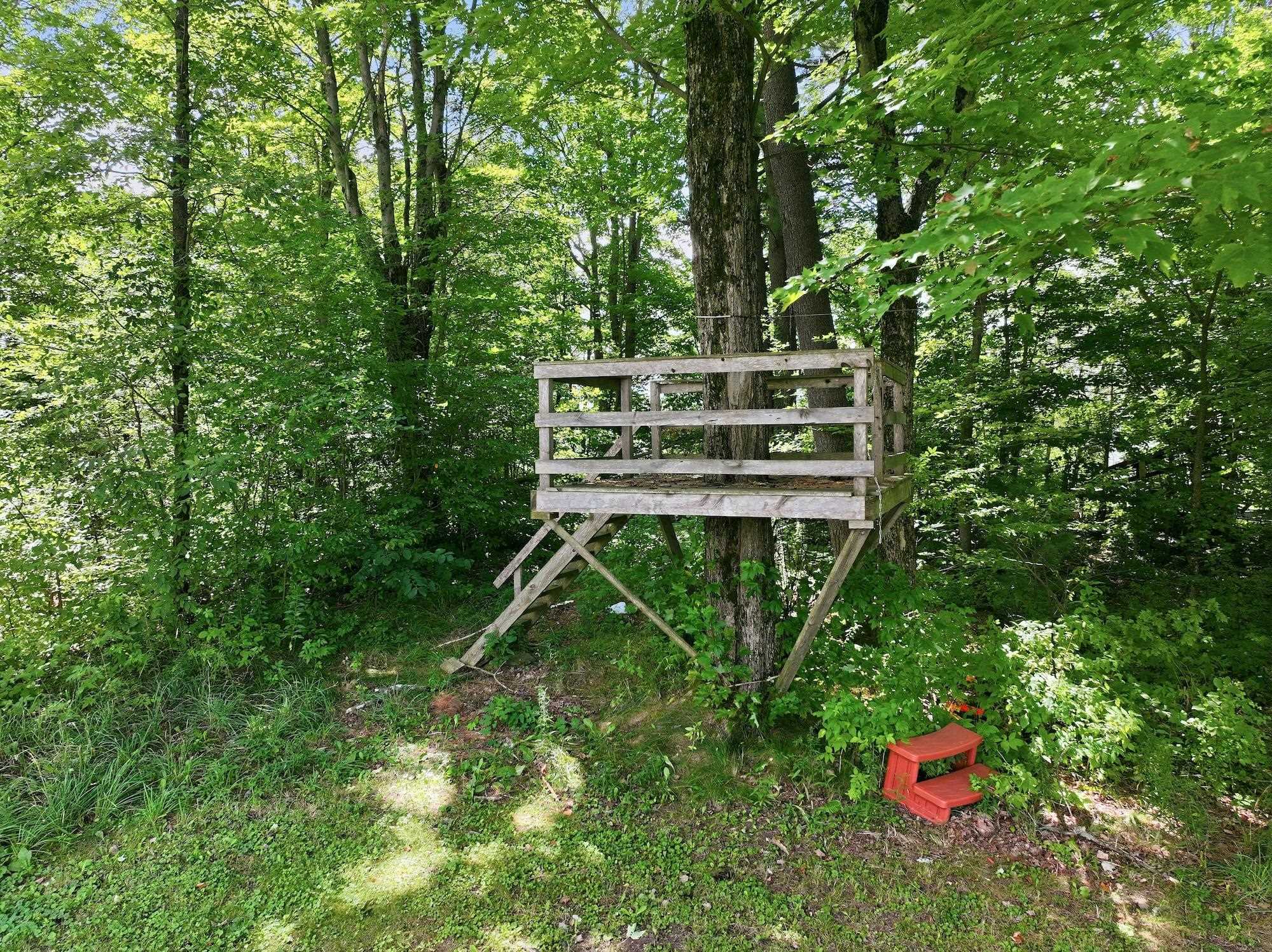 3561 Rice Hill Road photo 57