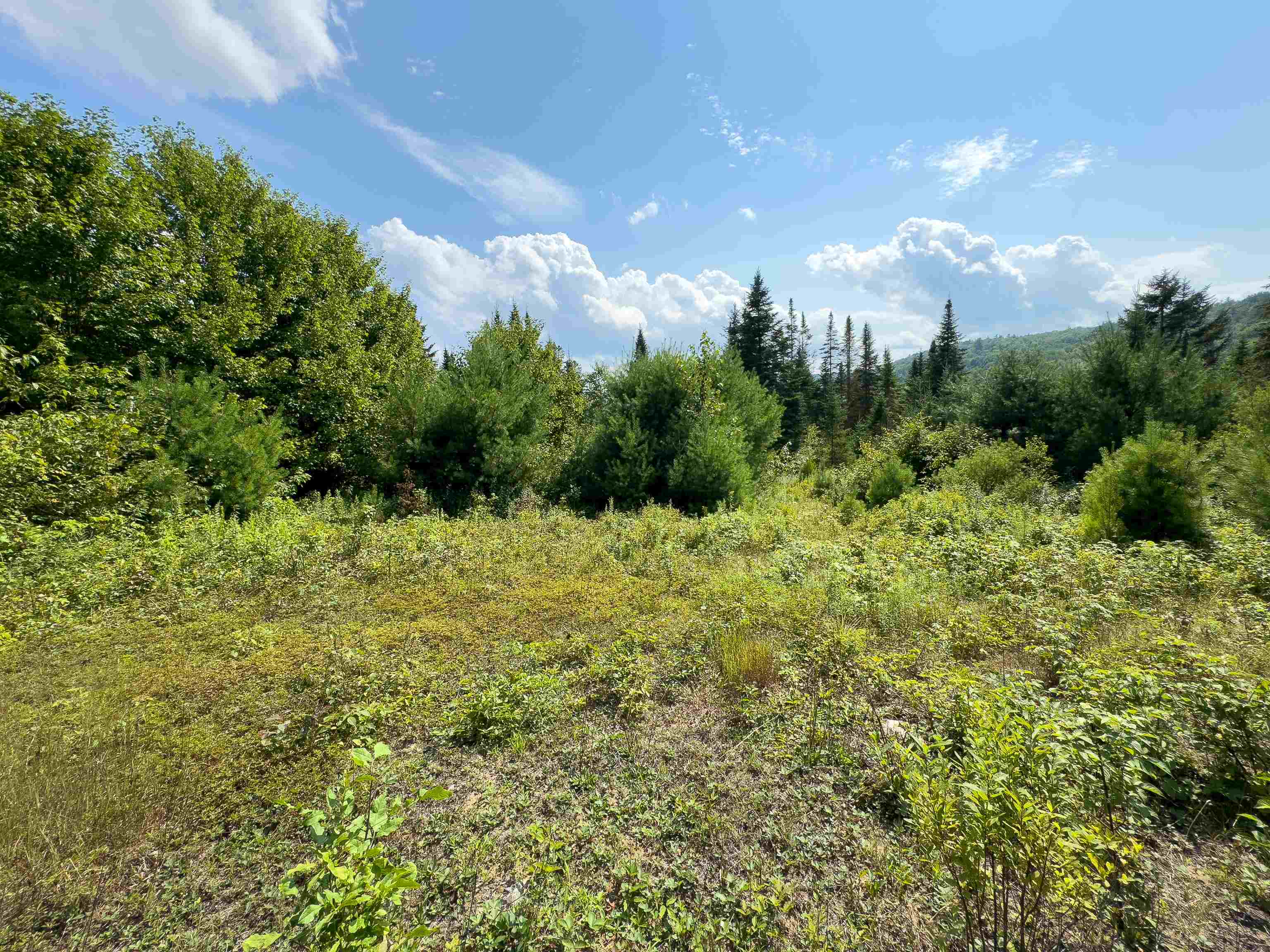 near 00 Lime Kiln Road Topsham, VT 05076 Property 3