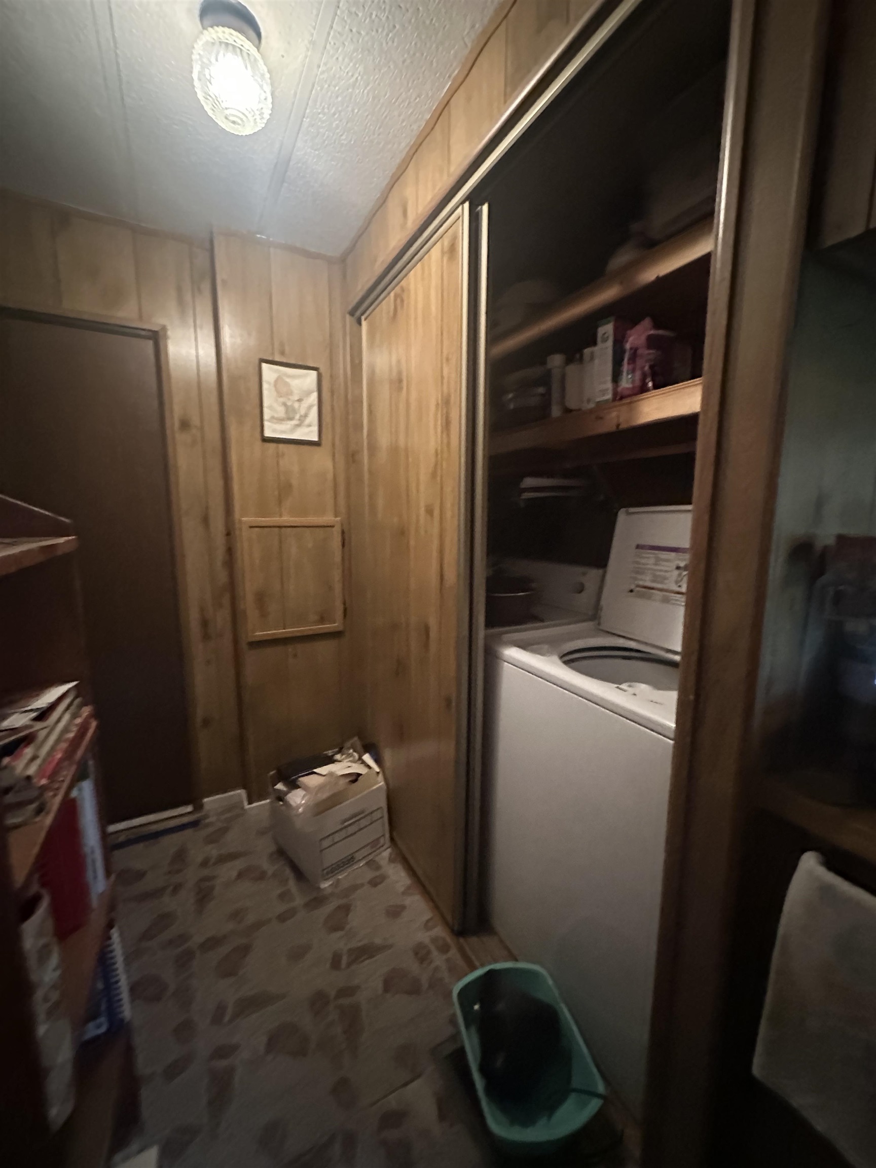1316 Lake Dunmore Road photo 22
