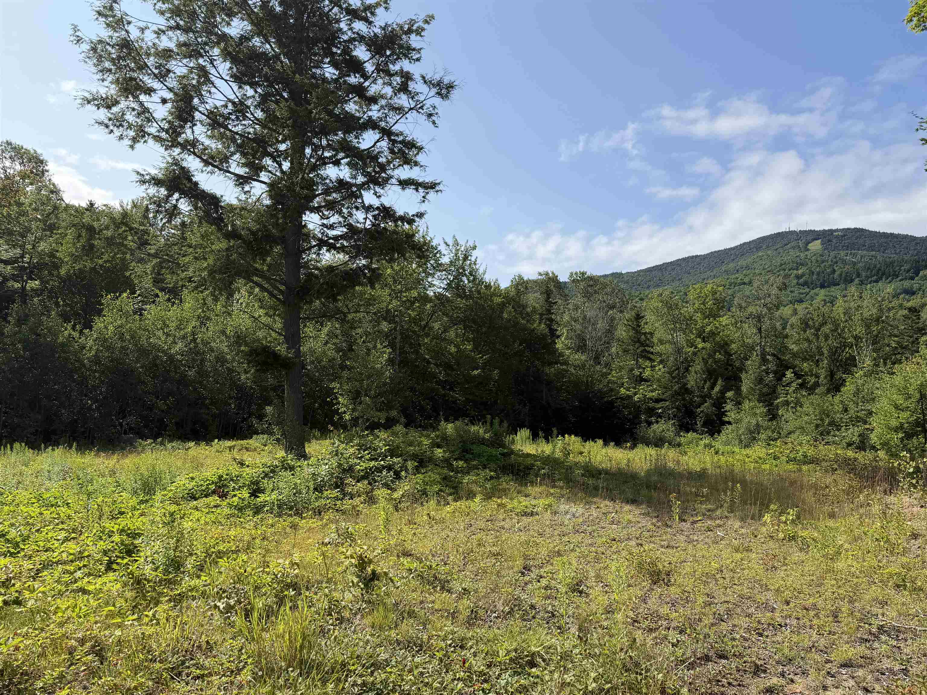 near 0 Ridge Road Kirby, VT 05851 Property 1