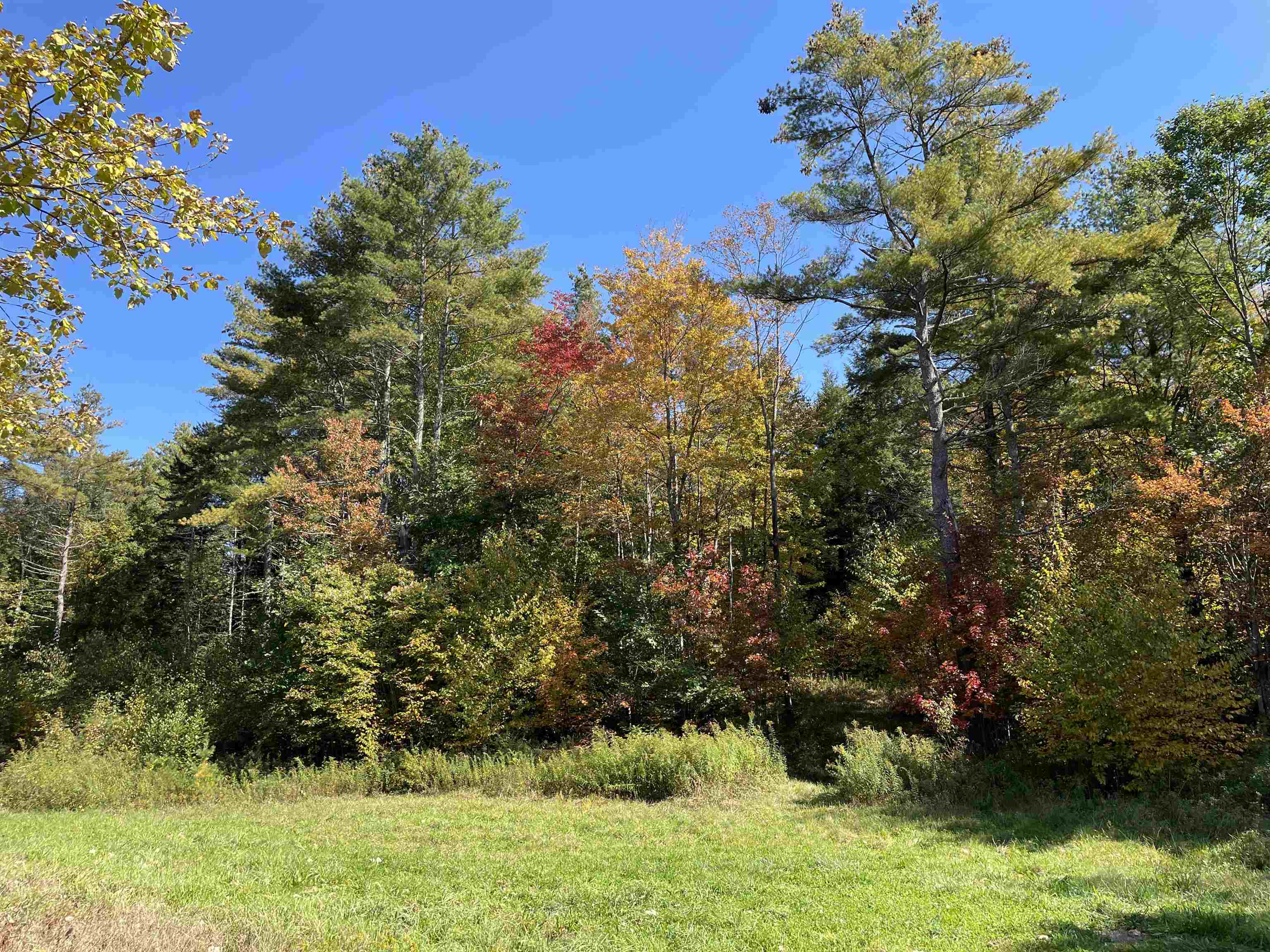 near 0 Whitmore Brook Road Chester, VT 05143 Property 1