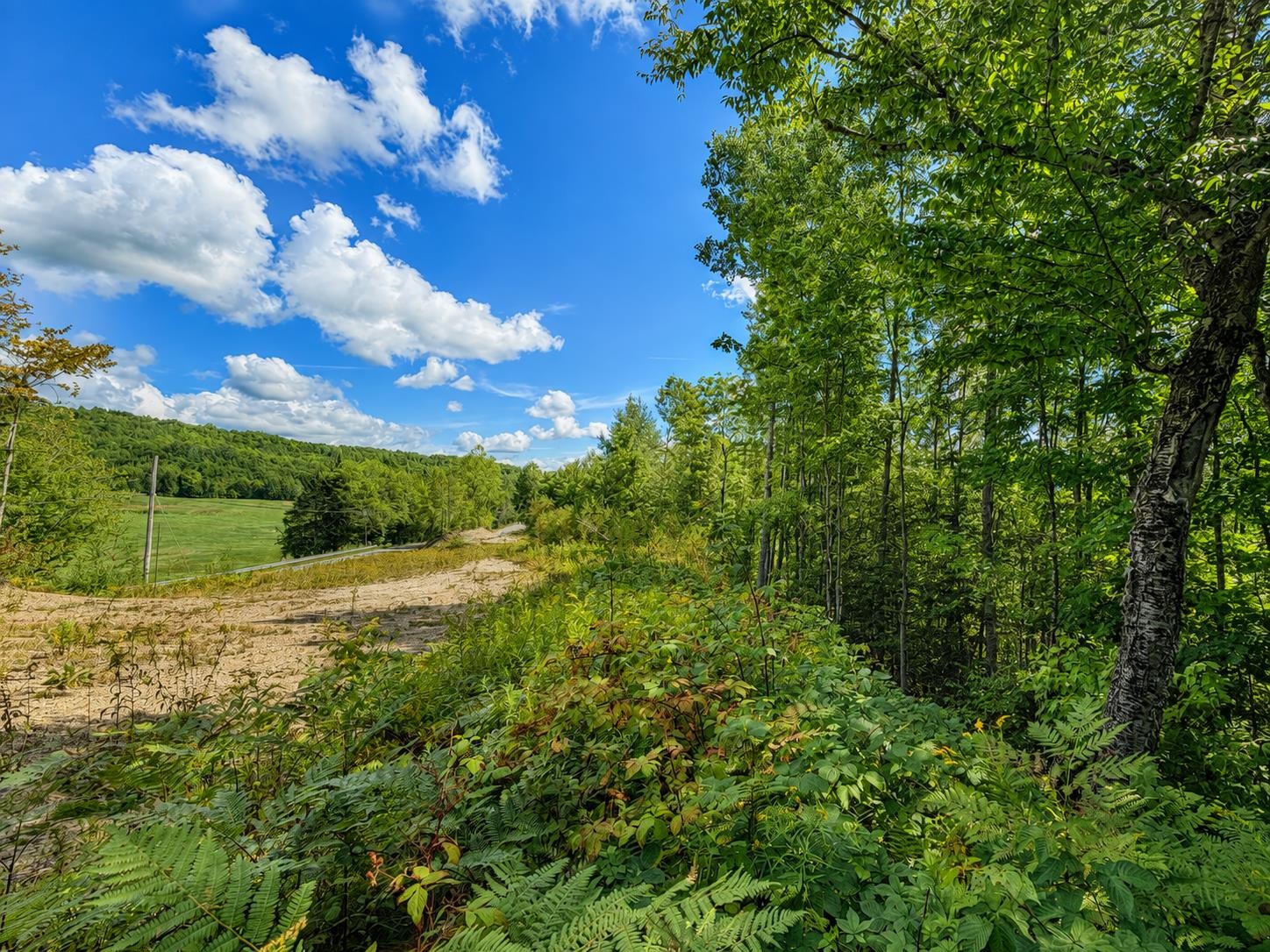 00 Burke Hollow Road photo 2