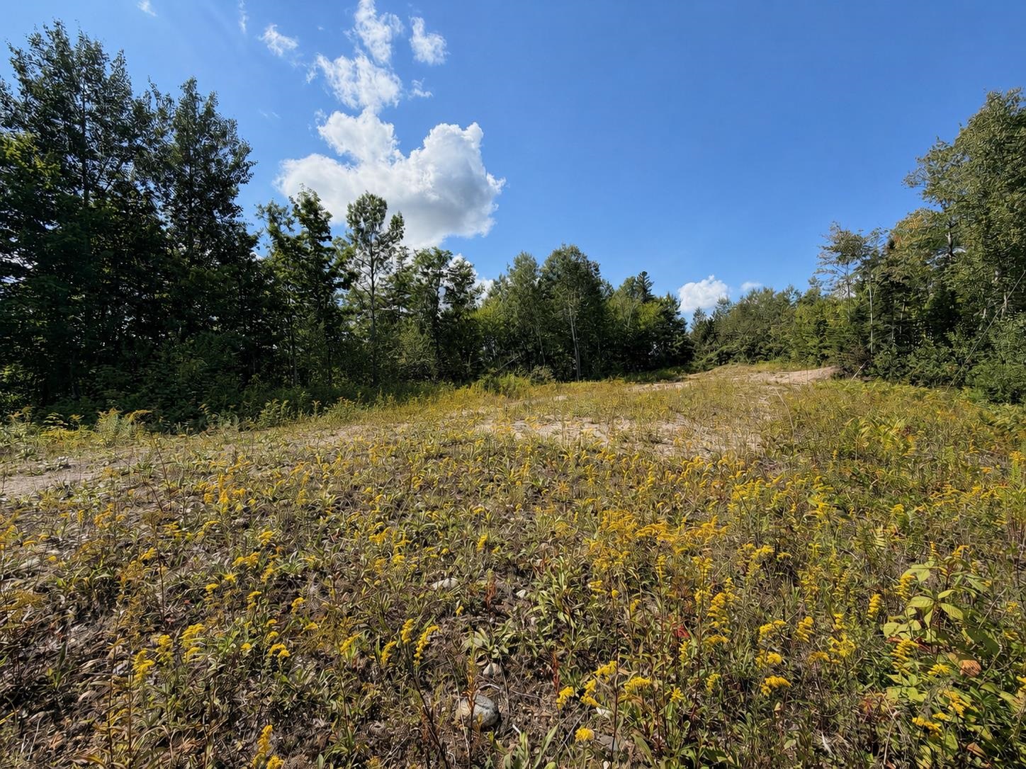 00 Burke Hollow Road photo 4