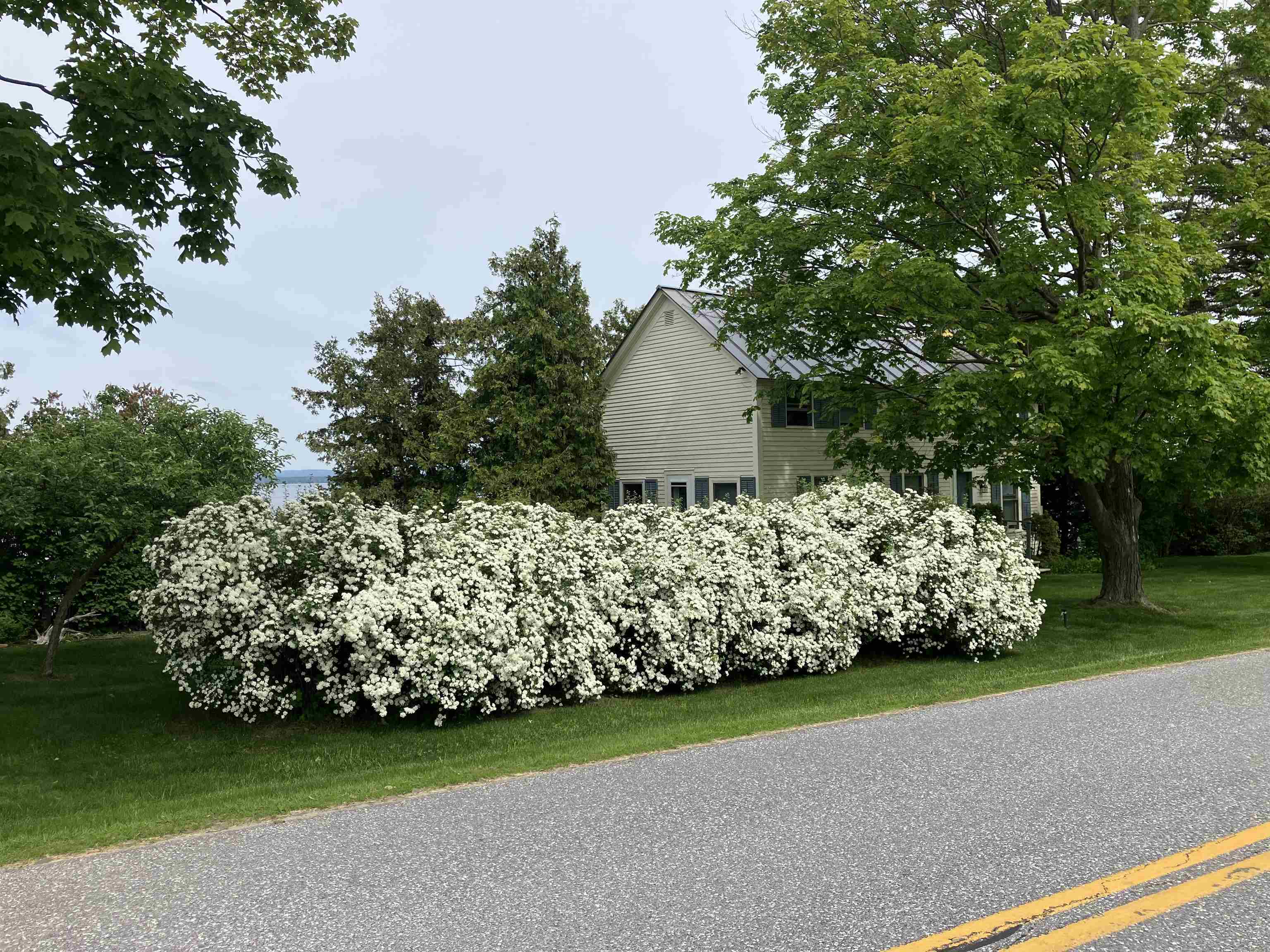 255 West Shore Road photo 43
