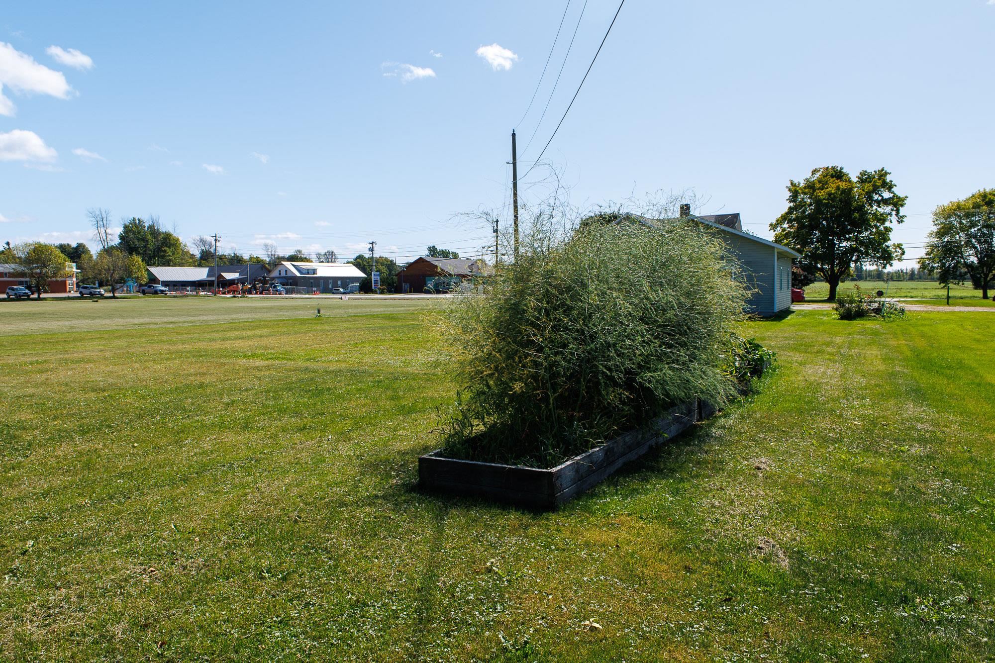 342 US Route 2 photo 47