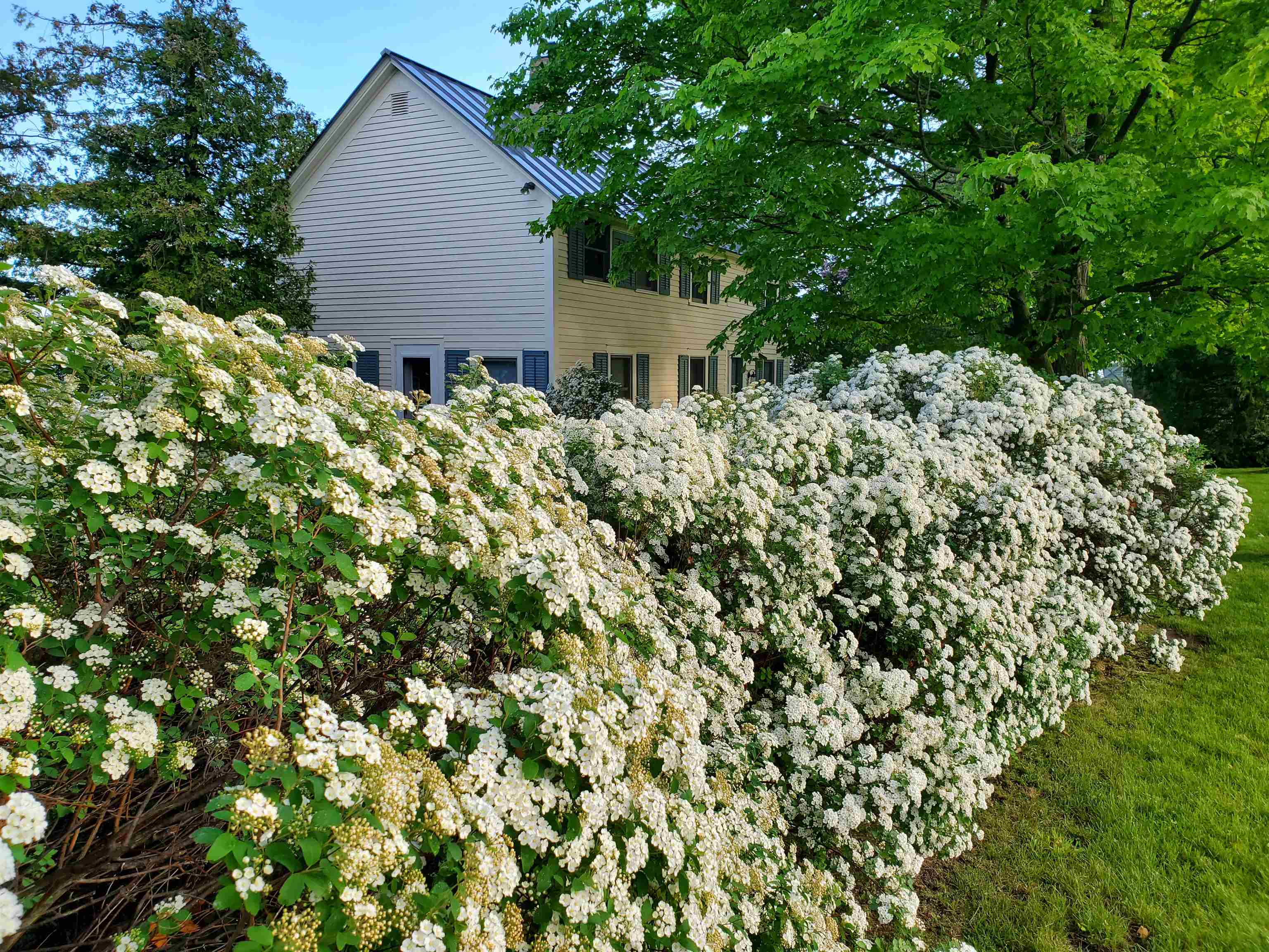 255 West Shore Road photo 9